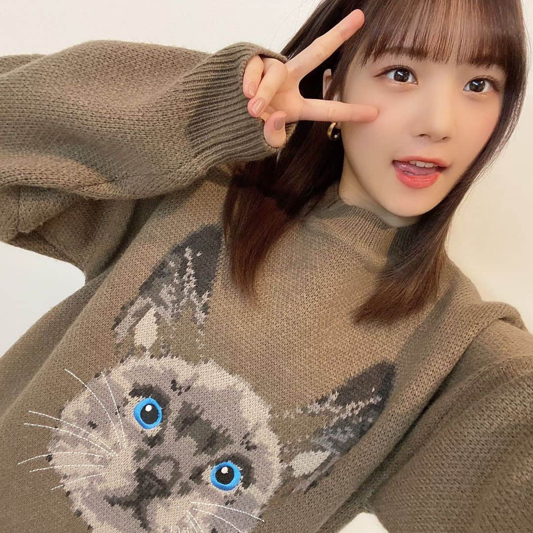 稲場愛香さんのインスタグラム写真 - (稲場愛香Instagram)「🐈﻿ ﻿ ﻿ 猫好き。かわいい。﻿ ﻿ ﻿ ﻿ #juicejuice #稲場愛香 #まなかん #アイドル #idol ﻿ #猫 #猫のいる暮らし #cat #ニット #mmts」11月25日 19時26分 - manaka_inaba.official