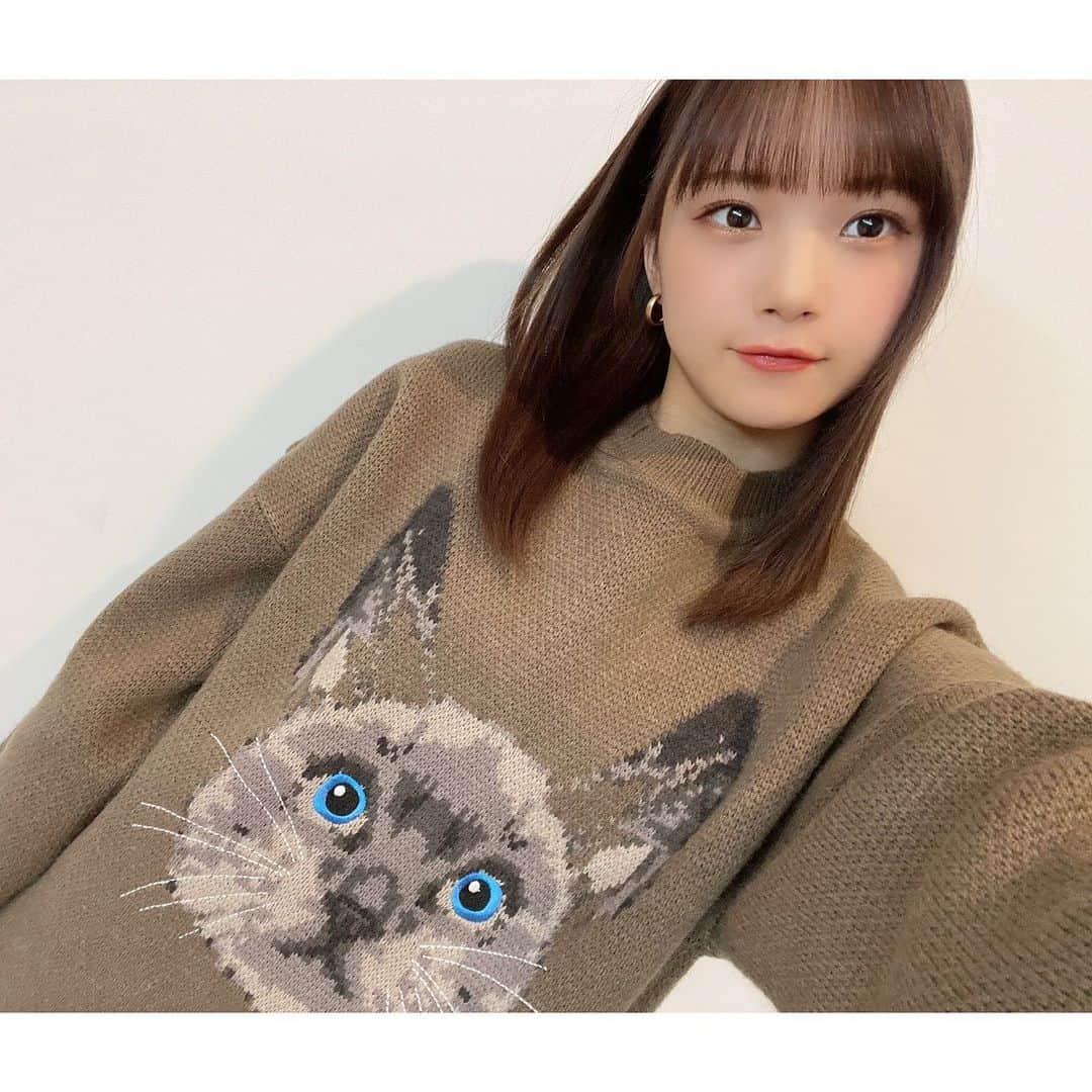 稲場愛香さんのインスタグラム写真 - (稲場愛香Instagram)「🐈﻿ ﻿ ﻿ 猫好き。かわいい。﻿ ﻿ ﻿ ﻿ #juicejuice #稲場愛香 #まなかん #アイドル #idol ﻿ #猫 #猫のいる暮らし #cat #ニット #mmts」11月25日 19時26分 - manaka_inaba.official