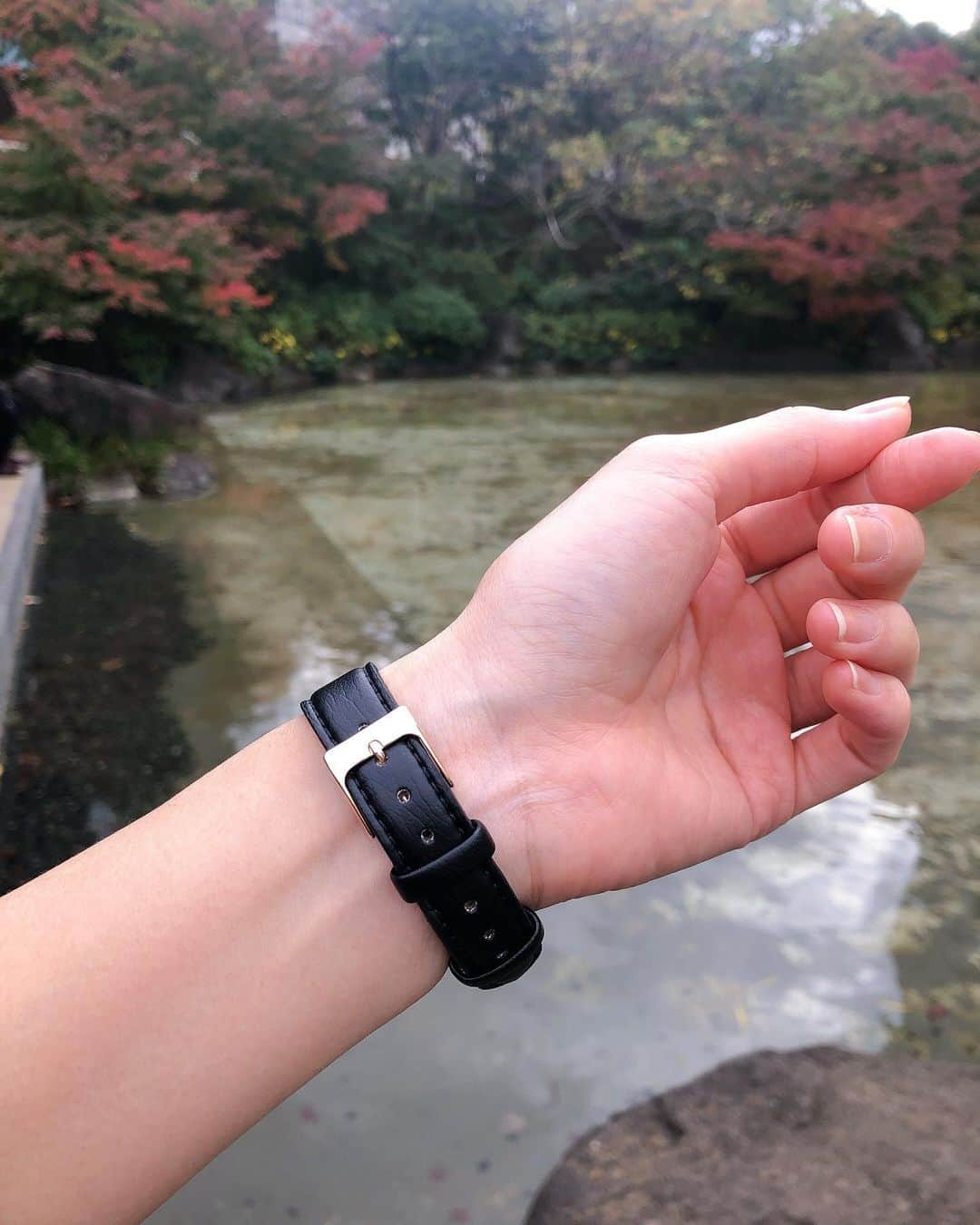 東美樹さんのインスタグラム写真 - (東美樹Instagram)「身につけるアイテムのブランドコンセプト、ストーリーを知ることって大切ですよね🌱 買い物をする時に選ぶ基準がとても変わった2020年。  大好きな北欧の腕時計ブランド 【Nordgreenノードグリーン】  今回もご縁があり、Black Firdayキャンペーンでコラボすることになりました。 2回目のオファーを受けた理由も前回同様、彼らのブランドコンセプトの一つ、『環境、子供たちの将来をサポートすること』が取り入れられている事に素敵だなと思ったから🌱💫  以下の三つから自分で選べる”参加型支援”を導入されています。 ✔️中央アフリカ共和国の方1人に2ヶ月間清潔な水を提供 ✔️インドの子供の1人に、1ヶ月間の教育 ✔️中南米の200平方メートルの熱帯雨林を保護  自分が購入した時計の売り上げの一部がどこに割り当てられているのかわかる事、そして支援する内容が自分で選べる事でその支援について ”知ること” ができる。  “知ること”　 “自分で調べること”  色々な情報が出回る世の中、情報リテラシーがさらに強く問われる時代。自分が納得した情報を得るにはまず疑問に思う事、そして自分で調べて知ることが大切ですよね。  社会貢献もどこの団体のどこの国の…etc　とか色々あってわからない。そのきっかけ作りをファッションからできるって素敵だなと思うんです😊🌱💫  今回はブラックフライデーキャンペーンということでクーポン使用で35%offになるみたいですよ〜！男女どちらも取り揃えているので彼氏、彼女のクリスマスプレゼントにも良いかも🌟  私は今回もヴィーガンレザーをチョイス。 色は冬らしオールブラックにローズゴールド。 つけ心地がとても良く愛用中です🙆🏻‍♀️ ⌚️Native Dial: ブラックダイヤル x ローズゴールド strap: ブラックヴィーガンレザー size: 32mm  セールの時期、ランダムに買うのはやめて、「ここのブランドコンセプトが素敵だからサポートしたい！」を購入するときの基準の一つに取り入れてみてはいかがですか？😌🎵  @nordgreenofficial_japan @nordgreenofficial  【Nordgreen ノードグリーン】 35% off クーポンコード: higashi35 有効期限: 11/21〜12/1まで . . . #PR #nordgreen #ノードグリーン #腕時計 #手元コーデ #時計好きな人と繋がりたい #danishdesign #scandinaviandesign #minimalism #sustainablefashion #ecofriendly #veganleather #animist #北欧デザイン #手元倶楽部 #サステナブルファッション #環境に優しい #地球を守ろう #エコフレンドリー #東美樹 #mikihigashi #animistmiki」11月25日 19時26分 - mikko.36___