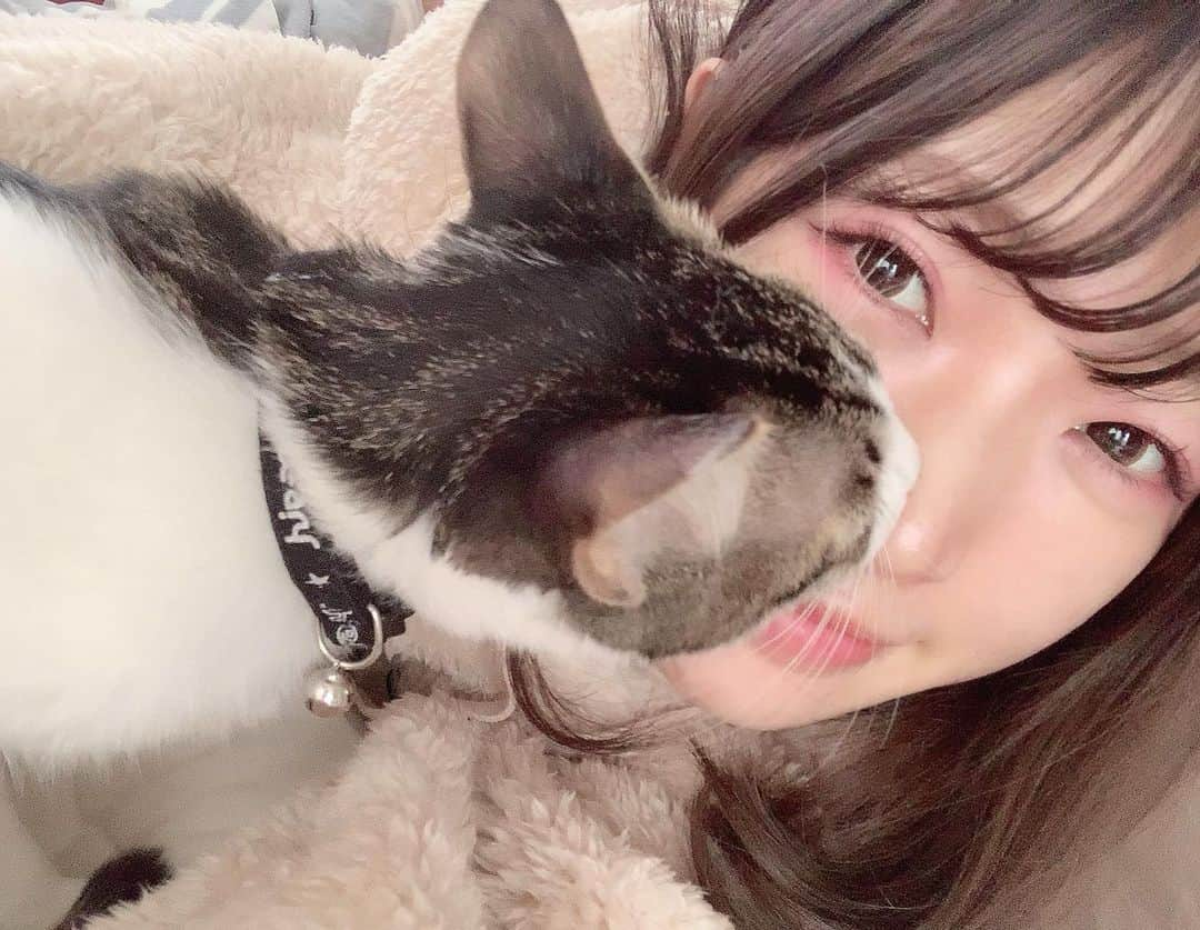 日比ゆりのインスタグラム：「✩ 口くさいのに鼻舐めてくるのかわいいね(^｡^)💖 . #cat #instagood #japanesegirl #girl #셀카 #🐾」