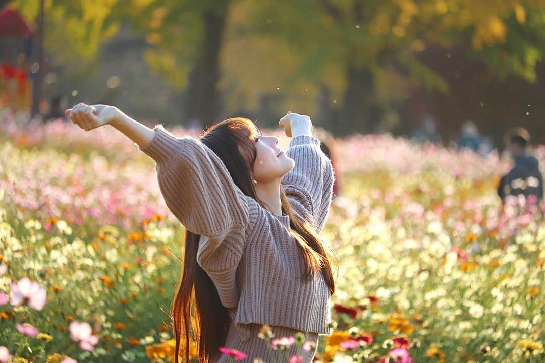 矢倉楓子さんのインスタグラム写真 - (矢倉楓子Instagram)「お花畑〜💐💐💐﻿ ﻿ ここまた行きたいなぁ🐾﻿ ﻿ ﻿ ﻿ #flowers #お花畑 #自然が好き #昭和記念公園 #インスタ映え #紅葉」11月25日 19時27分 - fufu_ice