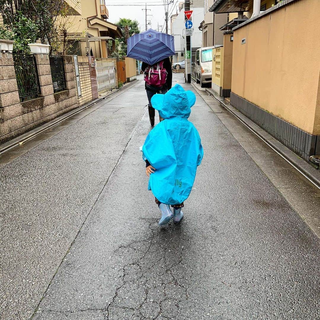 You Iwamotoのインスタグラム：「ペネロペの散歩。」