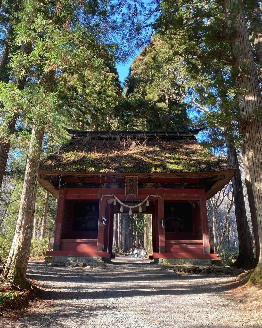 Aya（高本彩）さんのインスタグラム写真 - (Aya（高本彩）Instagram)「神話の聖地として知られている戸隠神社⛩ あり吉が絶対行こうね！と、連れて行ってくれました！ 杉並木がずらーーーーっと続く一本道は本当にパワーが溢れていて、素晴らしかったです。  長野めちゃくちゃ寒かったんですが @wcjapan のダウンが暖かすぎて汗かきました笑  @wakatsukichinatsu ちゃんありがとー♡  #長野#戸隠神社#次回は雪が降ってる日にいきます#長野は毎年行くことに決定」11月25日 19時49分 - aya_dream04