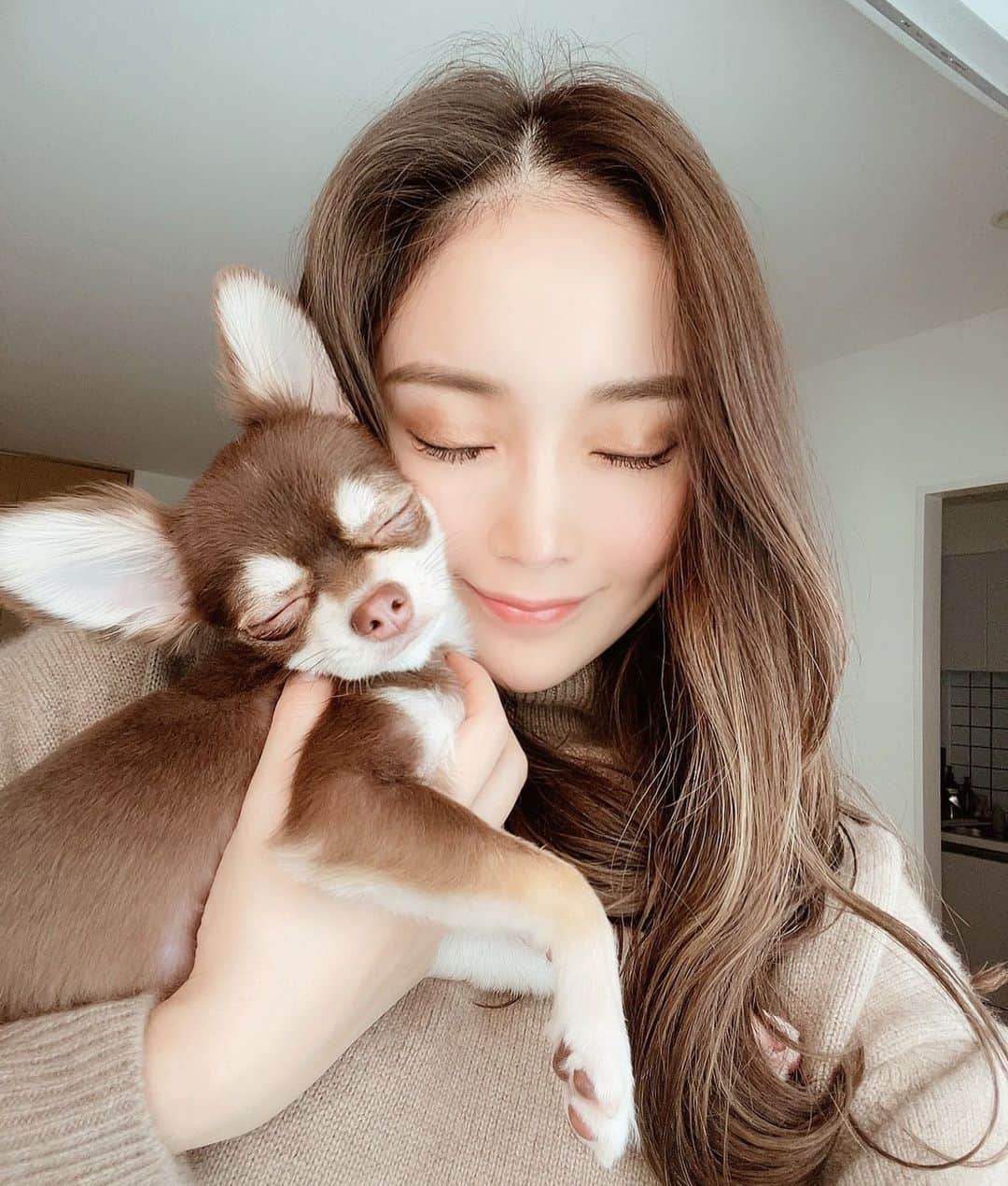 のインスタグラム：「最近イヌスタグラム🐶になってるなっw ハウルとわたし♡ . . . #chiuahua #イッヌ#ハウルさん」
