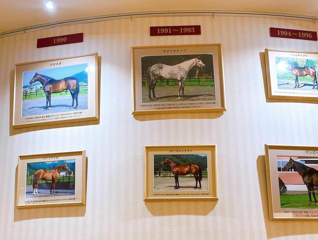 櫻美雪（旧さくらみゆき）さんのインスタグラム写真 - (櫻美雪（旧さくらみゆき）Instagram)「オグリキャップ🐎  #北海道　#馬　#競馬 #オグリキャップ  #旅行　#hokkaido #horse #horseracing #oguricap #trip」11月25日 19時57分 - sakura12miyuki
