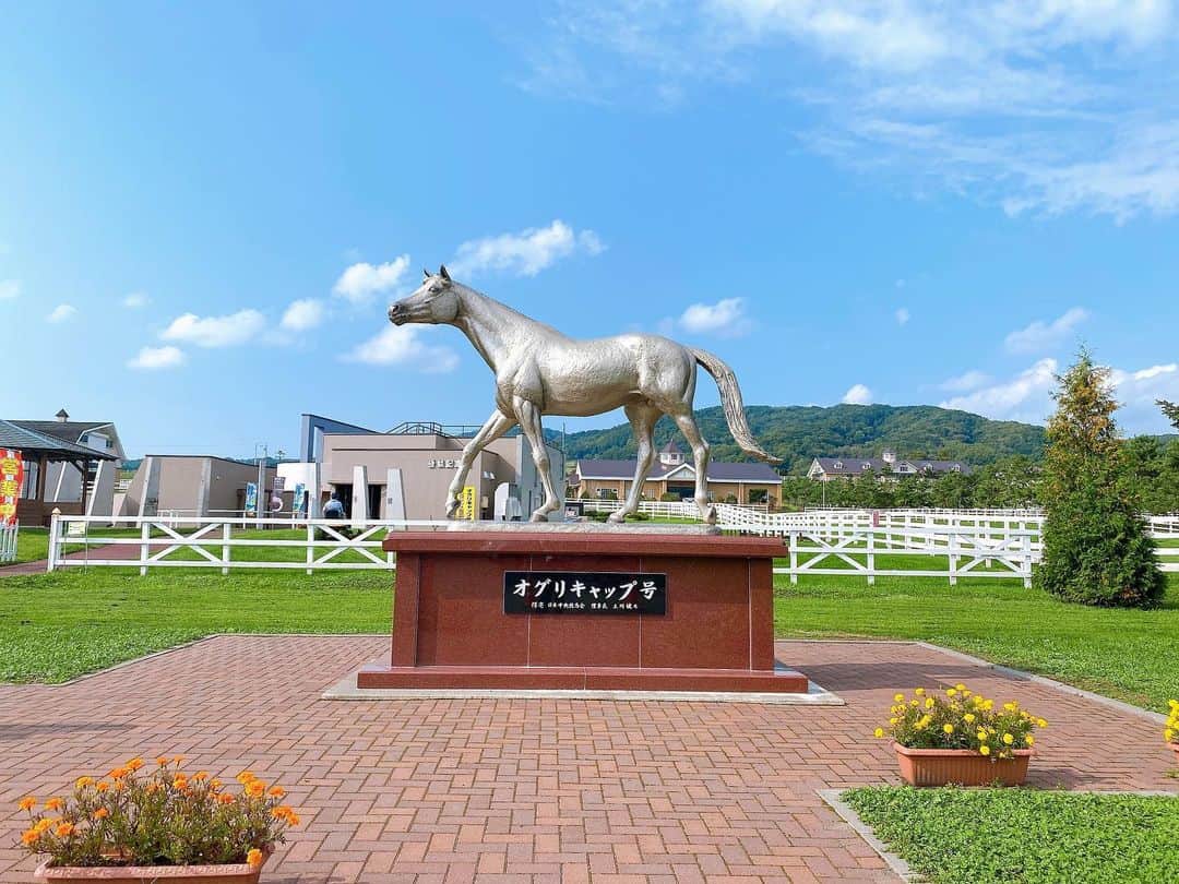 櫻美雪（旧さくらみゆき）のインスタグラム：「オグリキャップ🐎  #北海道　#馬　#競馬 #オグリキャップ  #旅行　#hokkaido #horse #horseracing #oguricap #trip」