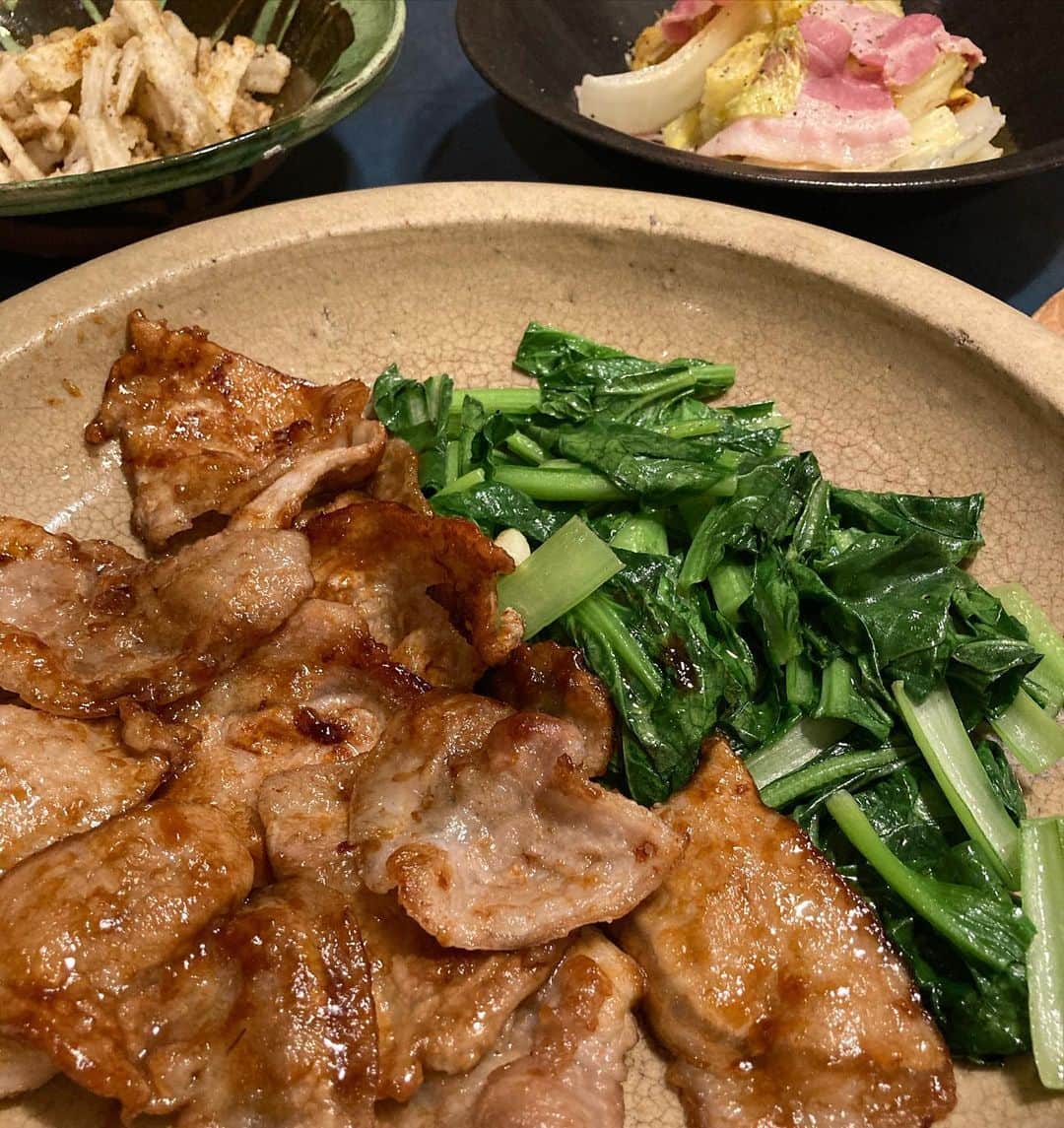 井上荒野のインスタグラム：「「今日何食べたい？」って夫に聞くと絶対、すき焼き、トンカツ、ハンバーグ、生姜焼きのどれかしか答えないから、聞いちゃいけないんだけどうっかり聞いちゃったので今夜は生姜焼き。おいしいけど。」