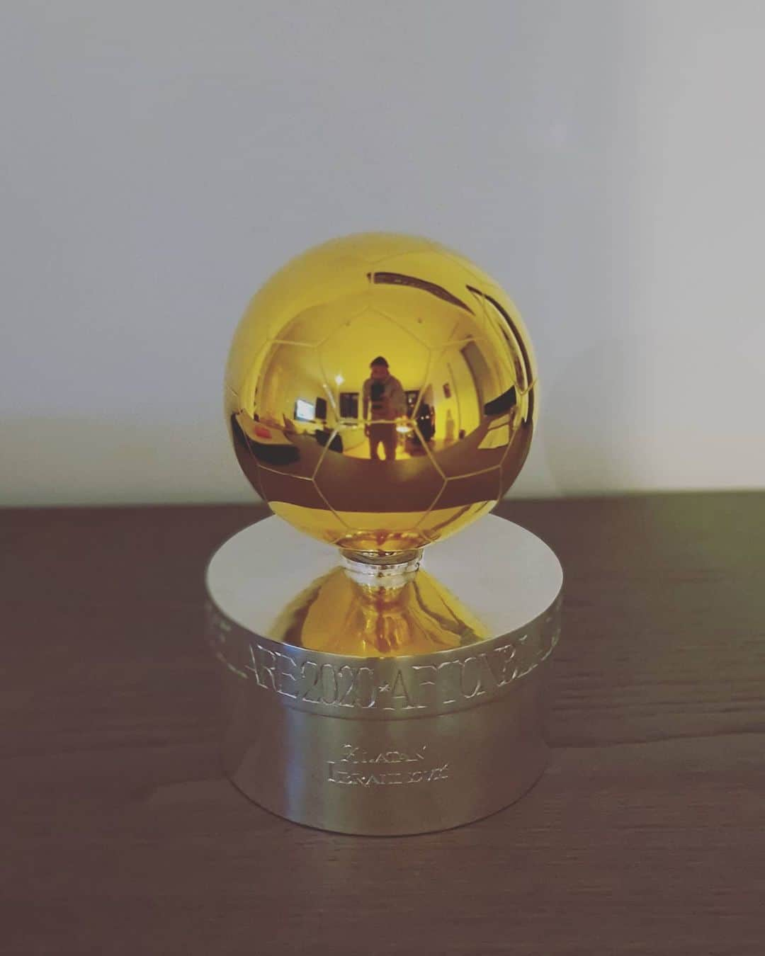 ズラタン・イブラヒモビッチさんのインスタグラム写真 - (ズラタン・イブラヒモビッチInstagram)「Fansens Guldboll Nr 12」11月25日 19時54分 - iamzlatanibrahimovic