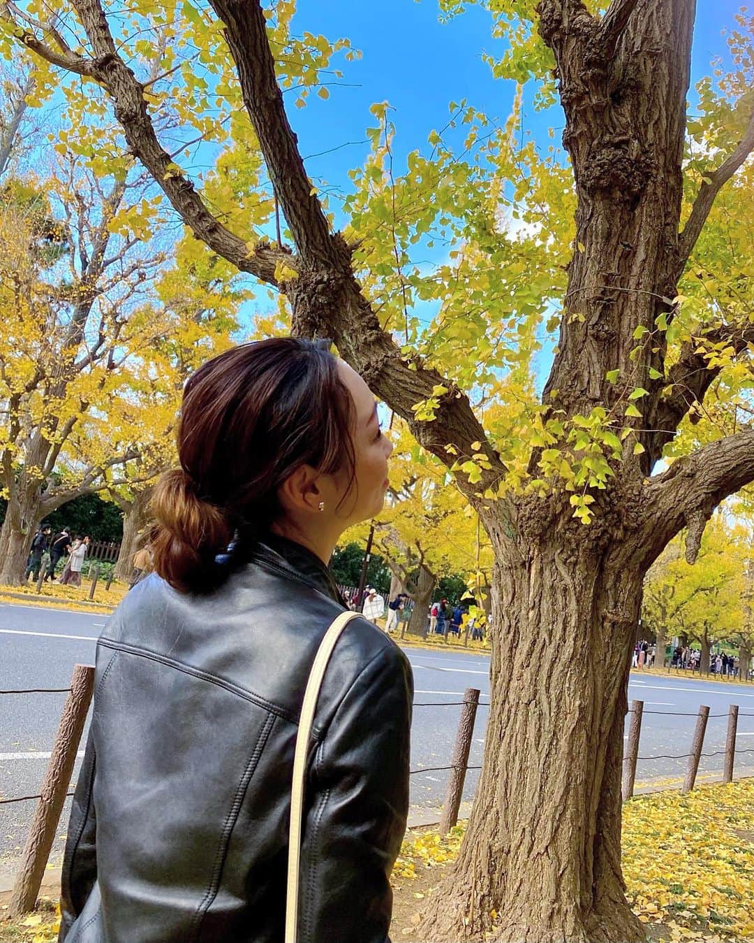 石田美奈子のインスタグラム：「🍂✨ . 今年も行けた♡ 神宮外苑いちょう並木😊✨ . 綺麗だなぁ✨ イチョウの葉で地面が一面黄色になっているのが大好き💛 . .  ✈️ → #minako_trip . #外苑前いちょう並木 #神宮外苑いちょう並木 #紅葉 #いちょう並木 #東京観光 #東京の秋」