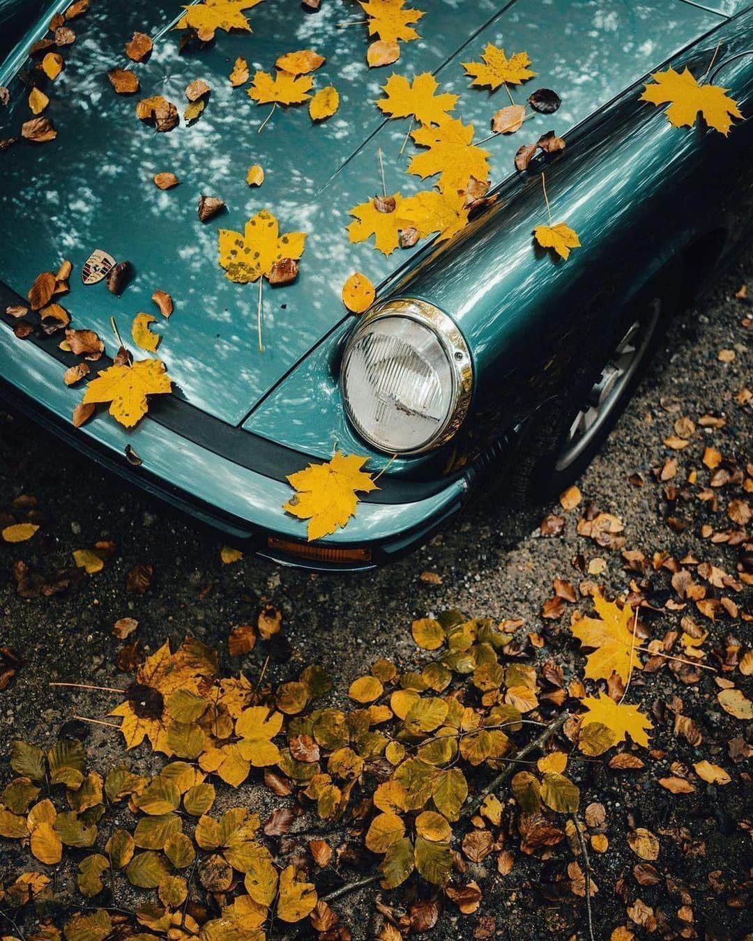 Porscheさんのインスタグラム写真 - (PorscheInstagram)「That Autumn feeling of leaves crunching beneath your tyres. (📸@jn) #Porsche #PorscheMoment」11月25日 20時01分 - porsche