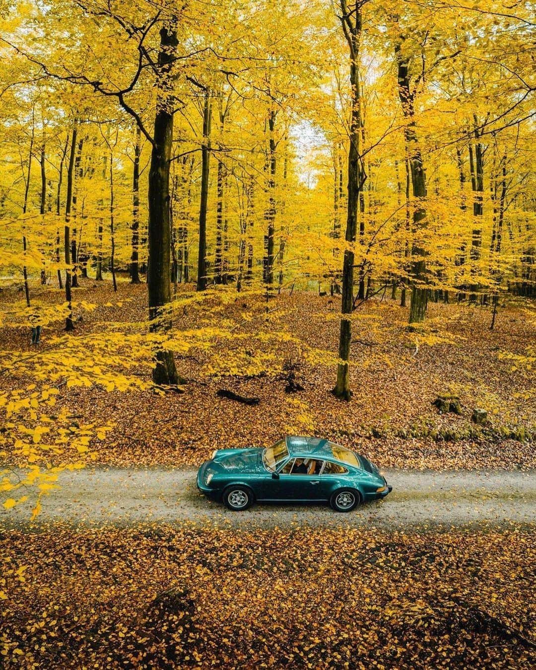 Porscheさんのインスタグラム写真 - (PorscheInstagram)「That Autumn feeling of leaves crunching beneath your tyres. (📸@jn) #Porsche #PorscheMoment」11月25日 20時01分 - porsche