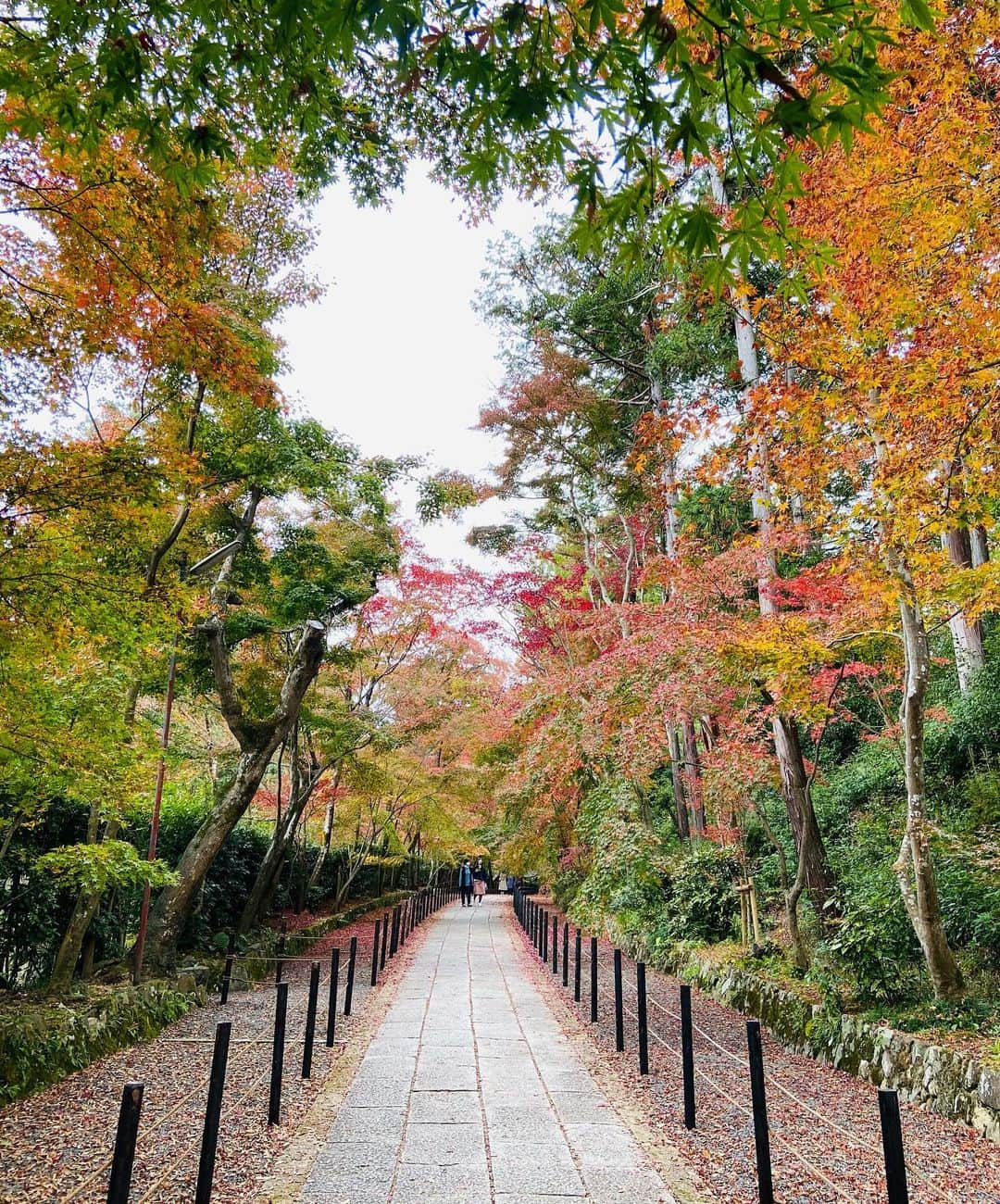 高橋美帆のインスタグラム