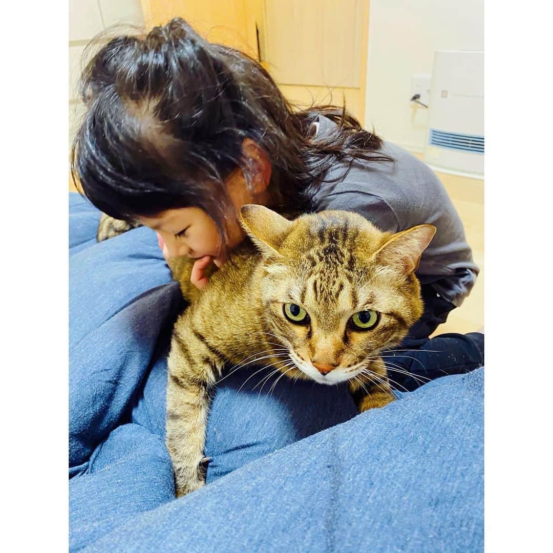 のインスタグラム：「捕獲されて  運ばれていった。笑  #guru_guru_guruli」