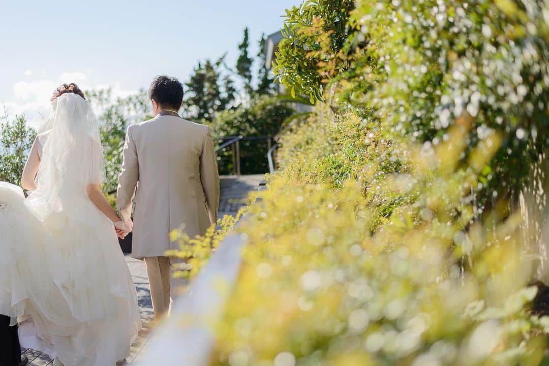 指帆亭のグルメインスタ