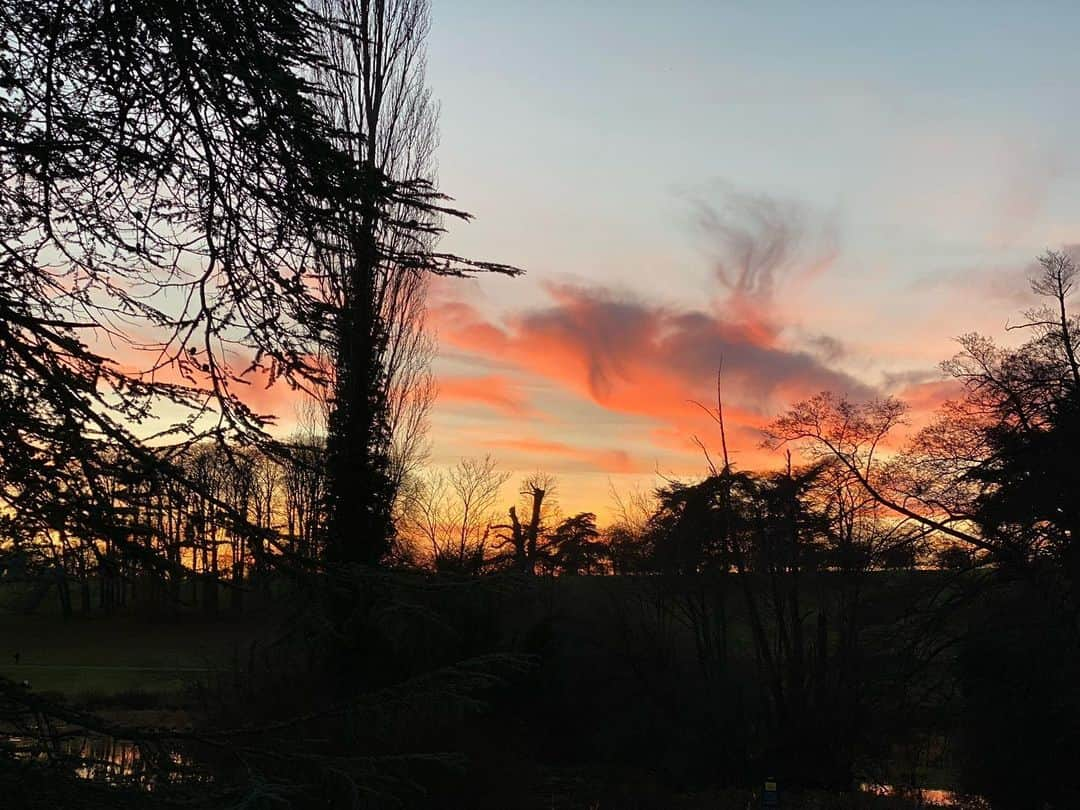 ナタリー・インブルーリアさんのインスタグラム写真 - (ナタリー・インブルーリアInstagram)「#dusk walk at @blenheimpalace」11月26日 7時42分 - natalie_imbruglia