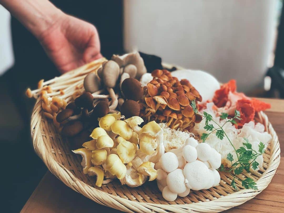 藤田敦子のグルメインスタ