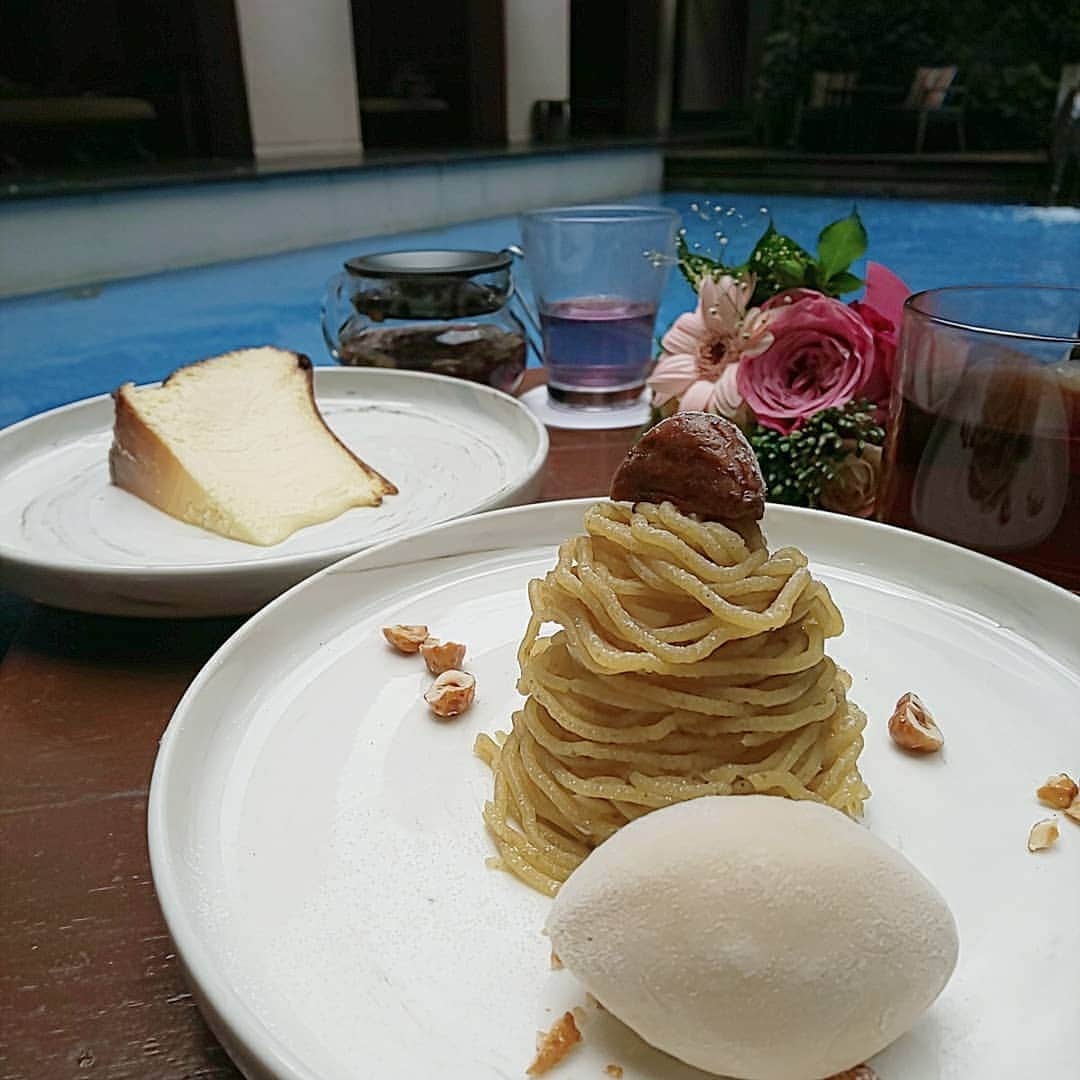 藤原宏美（ひろみん）さんのインスタグラム写真 - (藤原宏美（ひろみん）Instagram)「【バスクチーズケーキを流行らせた会社！？】  Plan･Do･Seeさんの世界観が好きで、 全国のホテルやレストランを利用するのですが、  バスクチーズケーキを流行らせた会社なのだと、 スタッフさんがおっしゃっていました✨  奥にちらっと見えるのが、 そのバスクチーズケーキ🧀  モンブランが好きすぎて、 ノーマークだった～🤣(アップの写真なし💦)  今度は是非味わいたいと思います😆  @withthestyle @withthestyle_wedding  #withthestyle #ウィズザスタイル #plandosee #プールサイド #福岡カフェ #福岡ホテル #福岡 #fukuoka #博多カフェ #博多ホテル #福岡スイーツ #博多スイーツ #cafe #sweets #バスクチーズケーキ #モンブラン #藤原宏美 #福岡旅行 #ひろみん旅物語 #旅好き #カフェめぐり #ビーズ公式アンバサダー応募」11月25日 22時49分 - hiromint7