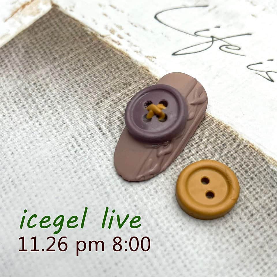 Icegel Nailのインスタグラム