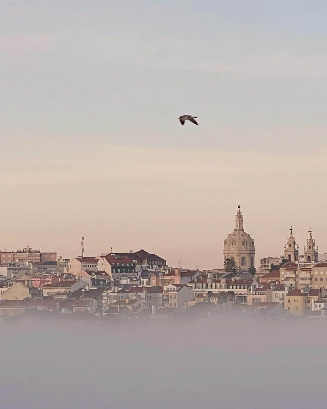 Carin Olssonさんのインスタグラム写真 - (Carin OlssonInstagram)「Foggy mornings 🤍」11月25日 23時08分 - parisinfourmonths