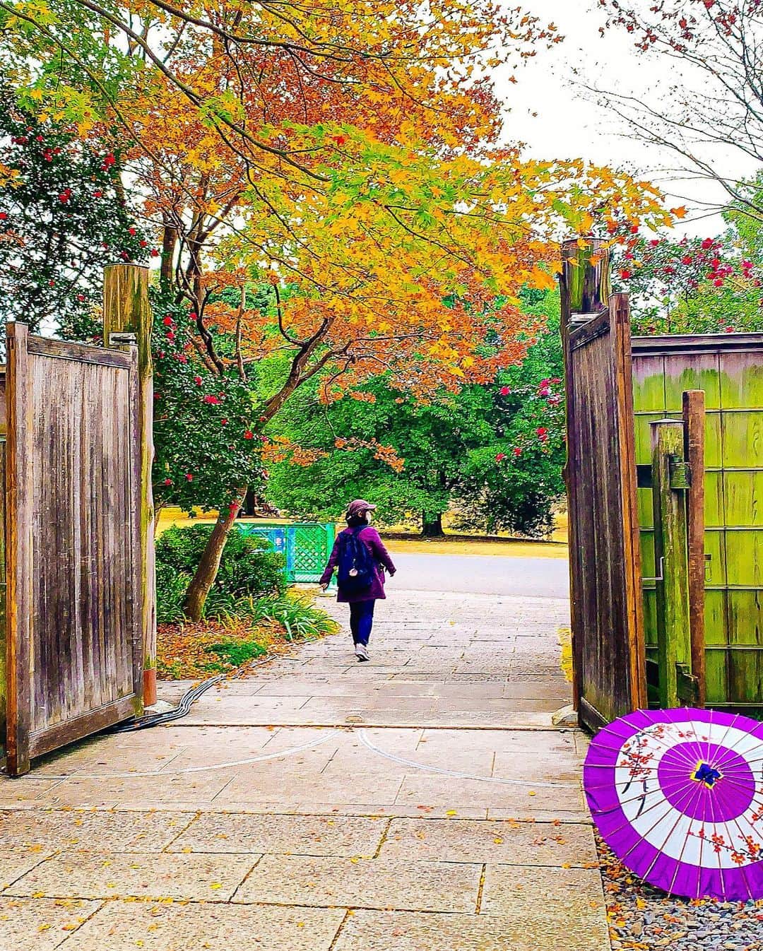 日下裕江さんのインスタグラム写真 - (日下裕江Instagram)「Maple color  紅葉に合わせて もみじカラーネイルにしたの🍁  そしたら すっごく綺麗にベストマッチした💓  ここは国営昭和記念公園の中にある 日本庭園✨  ほんと美しくて癒された💓  もみじの彩りと池と庭と家屋とが合わさって、アートの世界に入り込めた気持ちになりました✨  本当日本庭園大好き💕  水の流れる音、風で揺れる木々の音、風鈴の音色🎐  美しく共鳴し合ってた✨  夜のライトアップ見たかったな〜🌙  #maplecolor #maplenails #mapleleaf #mapleleaves #windbell #windchime #terracotta #terracottanails #autumnleaves #autumncolors #fall #autumn #japanesegarden #紅葉 #紅葉ネイル #もみじ #テラコッタネイル #日本庭園 #国営昭和記念公園」11月25日 23時36分 - hiroe___h