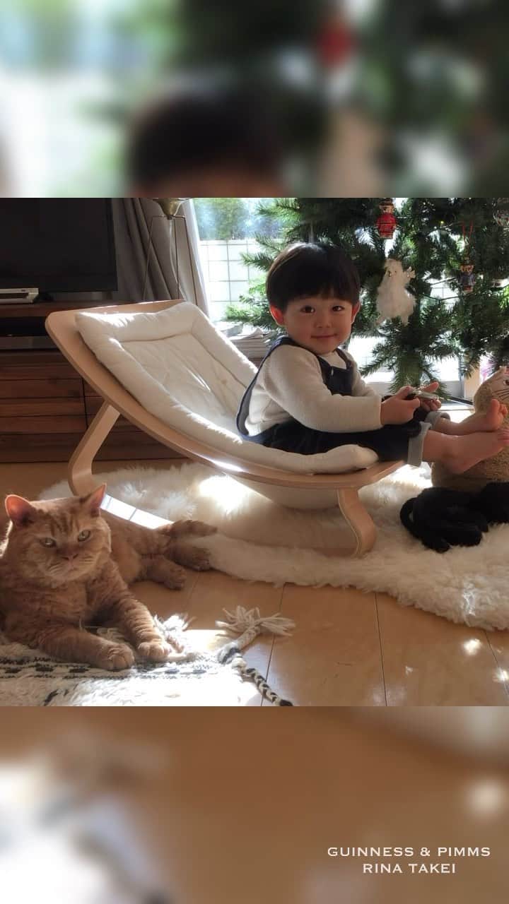 のインスタグラム：「25/11/2020 Happy Wednesday! ・ One month left until Christmas. The special seat bouncer placed in front of the Christmas tree is shared by the three brothers, who are now looking forward to Christmas. Have a good day everyone! ・ ・ クリスマスまで1ヶ月。 ギリギリまでロンドンの家で飾っていたツリー。 こうして無事に日本でも飾る事が出来ました🎄 バウンサーをツリーの前に置いたら 三兄弟たちが仲良くシェア。 特等席でクリスマス気分を満喫しています。 あっという間に1ヶ月経つんだろうな… そして今年も終わるんだろうな😂 早い早い。 ・ ・ #ギネピムと凪くん  #1yearold #1歳 #1歳11ヶ月  #babyboy #男の子ベビー #赤ちゃんのいる生活 #赤ちゃんのいる暮らし #赤ちゃんと猫 #猫と赤ちゃん」