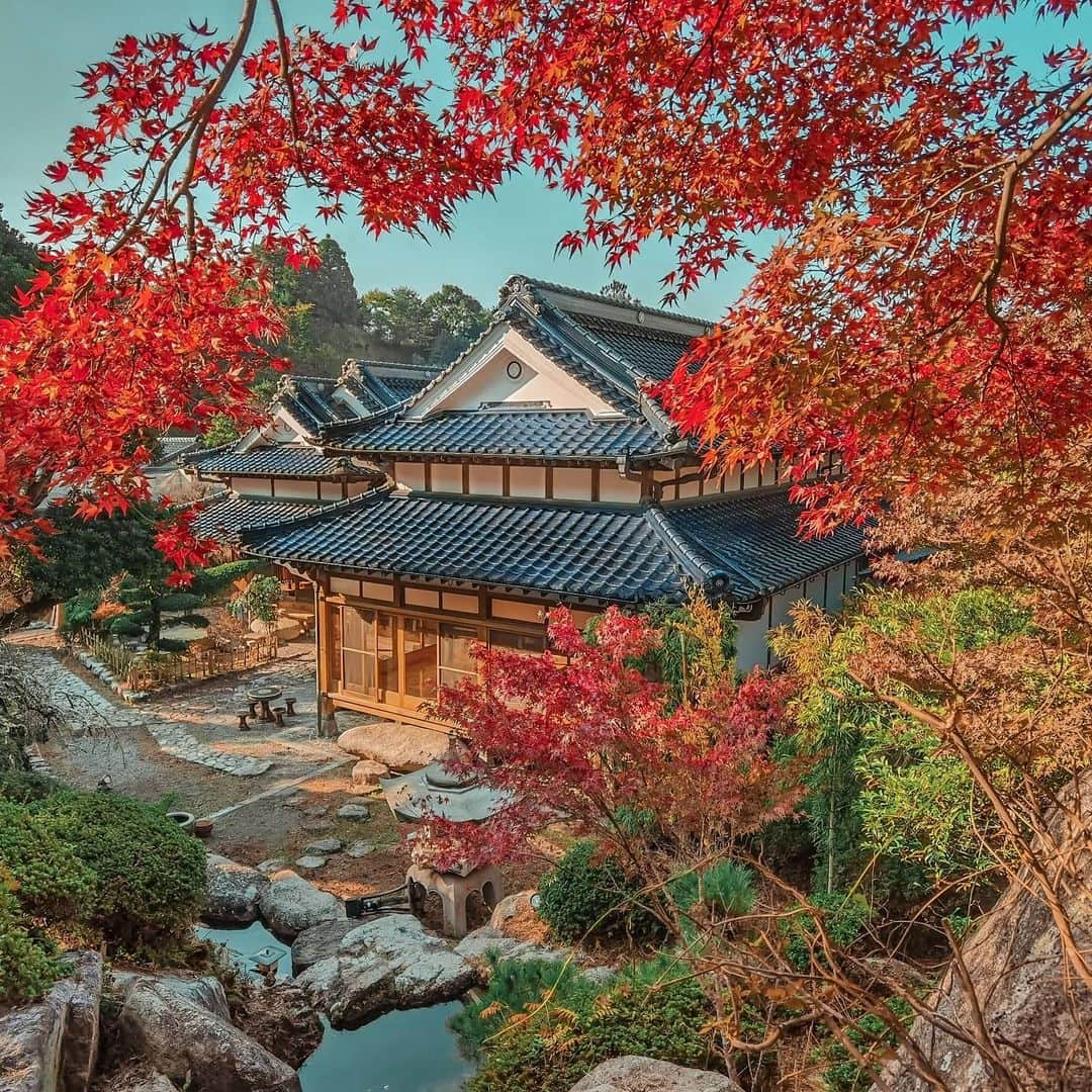 のインスタグラム：「Really like fall because of the colors. They only last for a time but are so beautiful... 🍂🍃🌾🥀 . . もうもみじも葉が落ちちゃった😔紅葉って本当に一瞬ですよね🥀だからこそ美しいってのもあるんだろうけど😣今年はたくさん秋を楽しめました💕 . #IYGBeautyAcadeny が明日からまた始まります✨非現実的な空間で100%トレーニングに集中できる環境でみるみる自分が変わるプログラム🏁😘 . さ、頑張るよー！目標は高くね😊🏁🏁🏁🏁 .  . . #beautylesson #beauty #fall #autumn #japanesearchitecture #japanesehouse #ryokan #fukuoka #ミスコン #ミスジャパン #ミセスコン #ロケーション #location #movie #shooting #photography #写真好きな人と繋がりたい #フィルター越しの私の世界」