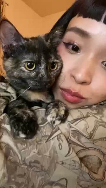 小春のインスタグラム：「猫可愛いね猫」