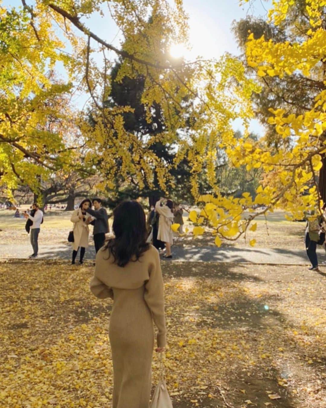 吉田佳菜のインスタグラム：「ㅤㅤㅤㅤㅤㅤㅤㅤㅤㅤㅤㅤㅤ ㅤㅤㅤㅤㅤㅤㅤㅤㅤㅤㅤㅤㅤ 綺麗やったなぁ💛 東京は思っていたより自然がたくさん🌲🌳 広い公園がたくさんあって、季節を感じられる☺️ ㅤㅤㅤㅤㅤㅤㅤㅤㅤㅤㅤㅤㅤ ㅤㅤㅤㅤㅤㅤㅤㅤㅤㅤㅤㅤㅤ #新宿御苑 #銀杏並木 #紅葉 #ちわこの休日 ㅤㅤㅤㅤㅤㅤㅤㅤㅤㅤㅤㅤㅤ」