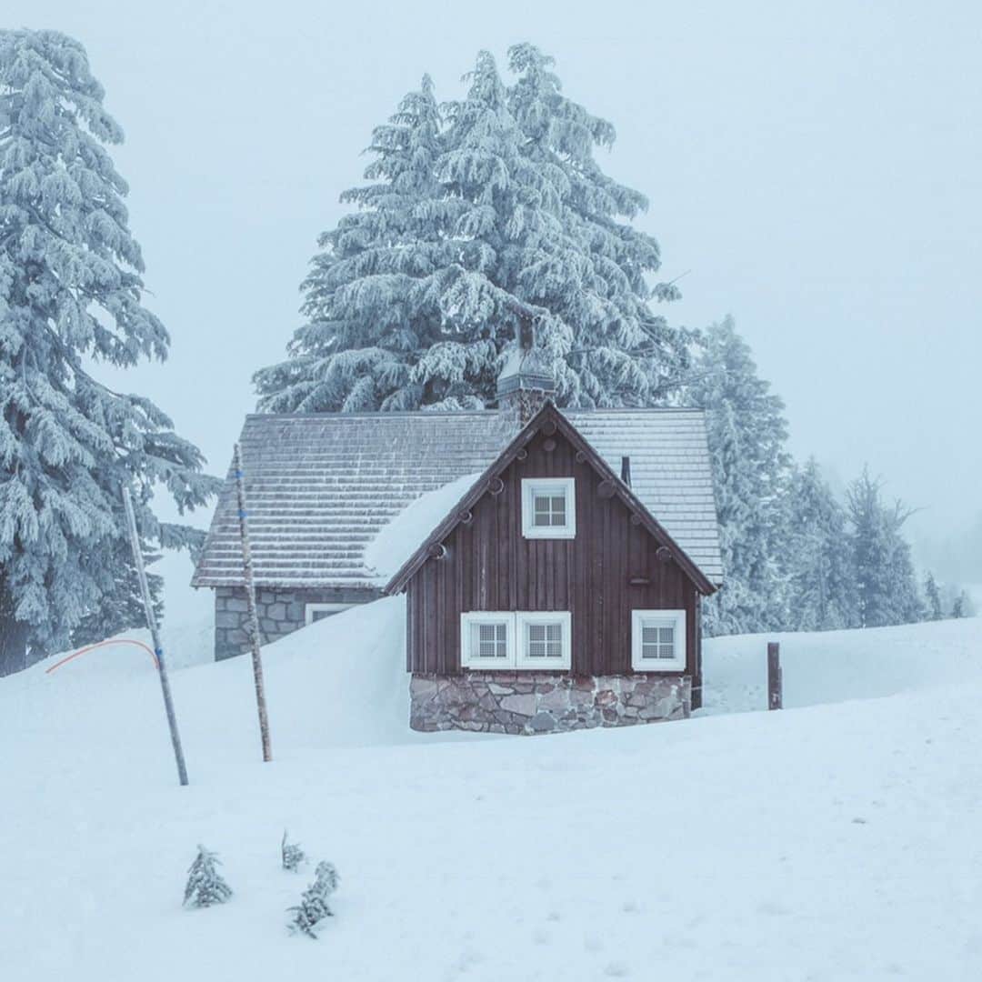FOLKのインスタグラム：「Our Flash Sales continue during this week. I’ve just added a selection of my favorite winter cabin prints to the shop. Use code MERRY for free US shipping on all orders. www.folkgeneral.com」