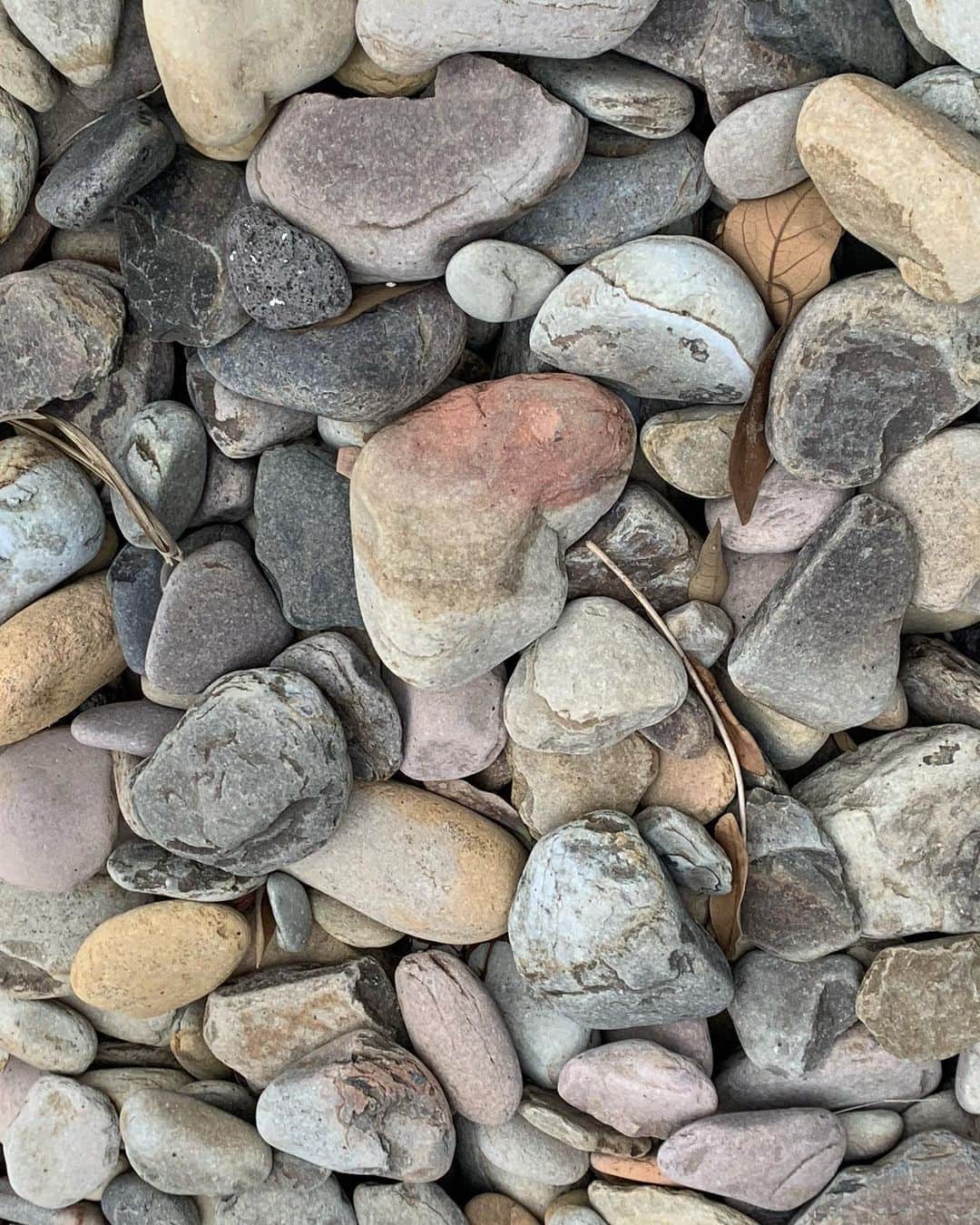 風間ゆみえさんのインスタグラム写真 - (風間ゆみえInstagram)「武寧王生誕地にて  きれいな石がたくさんありました 写真はピンクに色づいているハートの形をした石」11月26日 0時29分 - yumie_kazama