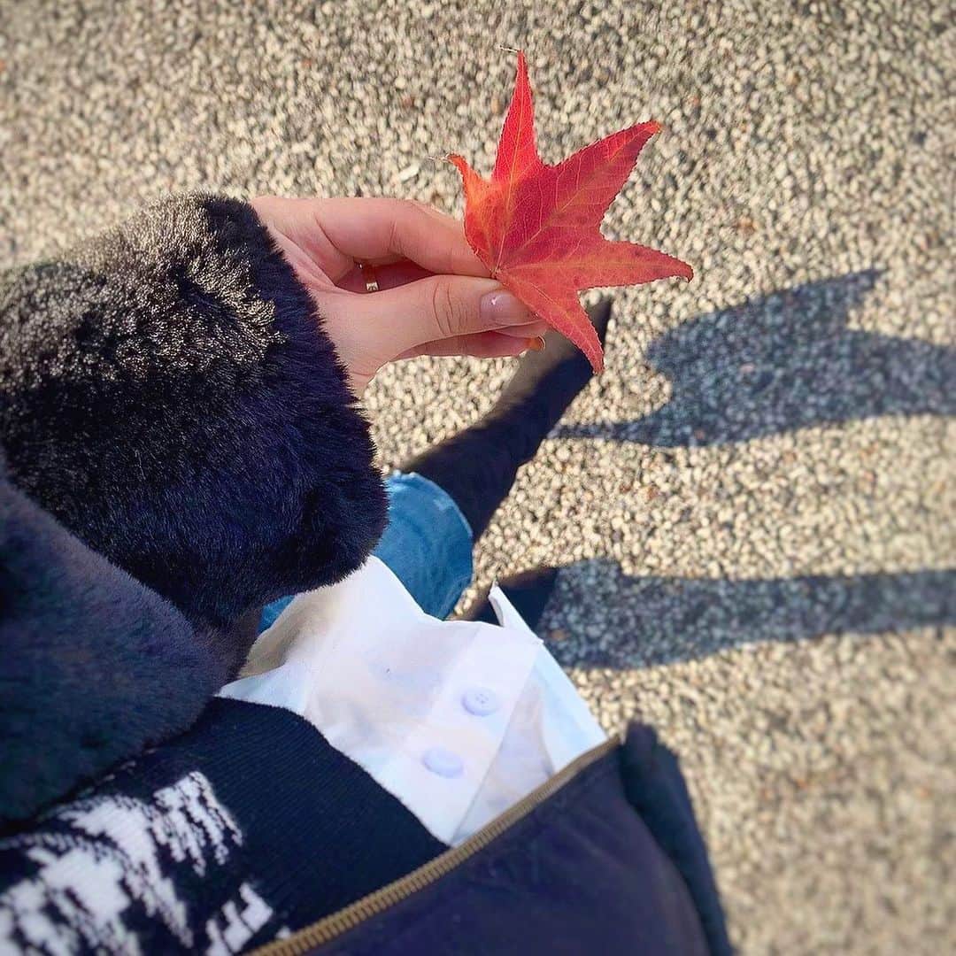 SUZUさんのインスタグラム写真 - (SUZUInstagram)「❤︎  #autumn#紅葉#🍂」11月26日 0時31分 - suzuchibi