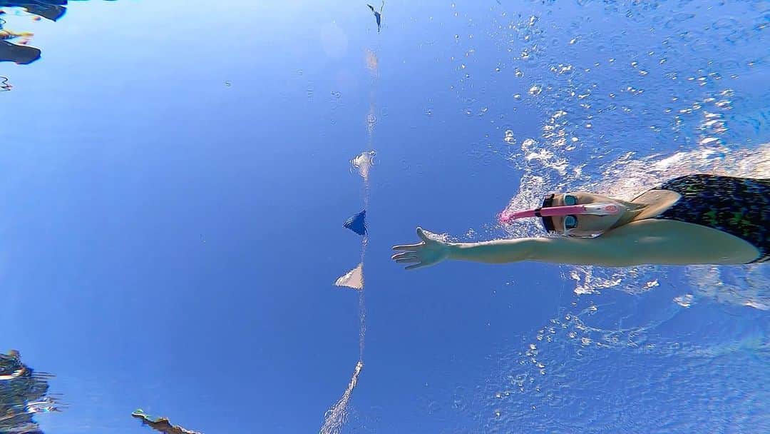 Julieのインスタグラム：「🙋🏼‍♀️ . . . . #arenawaterinstinct #latergram #swimmer #summerjulep #swimming #swim #swimlife #swimtechnique #instaswimming #usmastersswimming #mastersswimming #instaswimmer #usaswimming #swimtraining #swimpractice #myswimpro #swimsmarter」