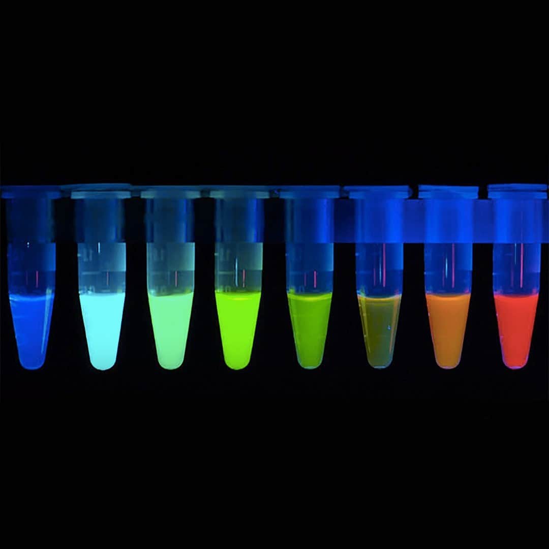 TED Talksのインスタグラム：「We 💙💚💛🧡❤️ science! These vials contain fluorescent dyes that are used to light up bodily tissues and identify cancer cells and nerves during surgery. They’re helping surgeons easily see what to cut out and — just as important — what to leave in! Surgeon Dr. Quyen Nguyen says that even with the best training and technology, surgery in the 21st century is still like "operating in the dark," especially when it comes to removing cancers, and these colorful fluids help doctors find their way around the body. "Basically, we've come up with a way to stain tissue and color-code the surgical field," explains Dr. Nguyen. Visit the link in our bio to learn more about the science behind this colorful surgical technique and how it’s impacting medicine.⁠ ⁠ [Image: Courtesy of Quyen Ngyuen]」