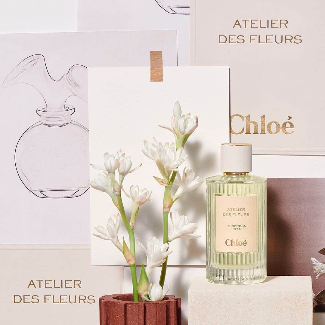 Chloéさんのインスタグラム写真 - (ChloéInstagram)「Introducing three additions to our exclusive Atelier des Fleurs Fragrance Collection, designed to be layered as a luxurious, personal composition. Tuberosa 1974 has a special resonance with Chloé’s heritage. Created by Karl Lagerfeld as the maison’s first fragrance, it remains an incomparable floral composition that reveals a hint of spice. Known as “Chloe’s first flower,” the fragrance has been renamed after its multi-faceted tuberose notes.  Combine with Jasminum and Cedrus for a sensual bouquet or with Magnolia for a timeless floral harmony  Available soon on chloe.com and selected boutiques」11月26日 1時31分 - chloe