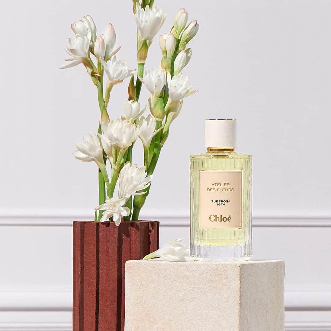 Chloéさんのインスタグラム写真 - (ChloéInstagram)「Introducing three additions to our exclusive Atelier des Fleurs Fragrance Collection, designed to be layered as a luxurious, personal composition. Tuberosa 1974 has a special resonance with Chloé’s heritage. Created by Karl Lagerfeld as the maison’s first fragrance, it remains an incomparable floral composition that reveals a hint of spice. Known as “Chloe’s first flower,” the fragrance has been renamed after its multi-faceted tuberose notes.  Combine with Jasminum and Cedrus for a sensual bouquet or with Magnolia for a timeless floral harmony  Available soon on chloe.com and selected boutiques」11月26日 1時31分 - chloe