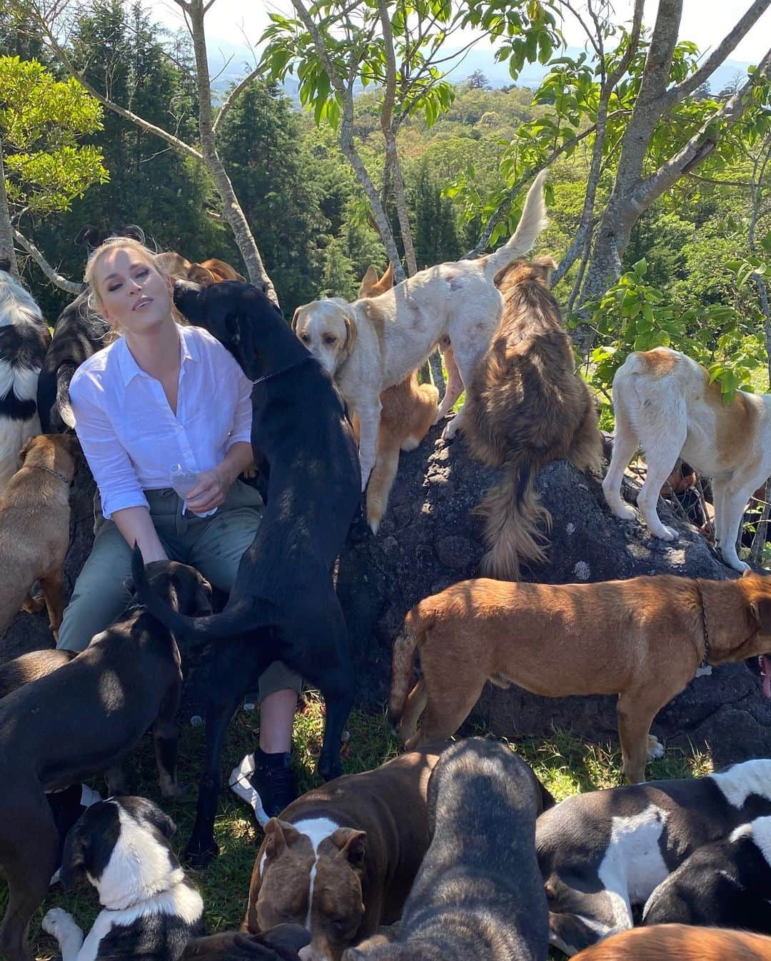 リンゼイ・ボンさんのインスタグラム写真 - (リンゼイ・ボンInstagram)「I always feel better when I’m around dogs....This was heaven for me! One of the most special places I have ever been “Land of the Strays” in Costa Rica. Over 1600 stray dogs have a home here because of the founder Lya Battle. She is an incredible person and I’m so so happy we were able donate enough food to help feed these dogs for 3 months! The Pack is more than a show, we tried to help dogs around the world and I am so grateful and thankful. Happy thanksgiving everyone 🙏🏻❤️ @thepackonprime」11月26日 2時02分 - lindseyvonn