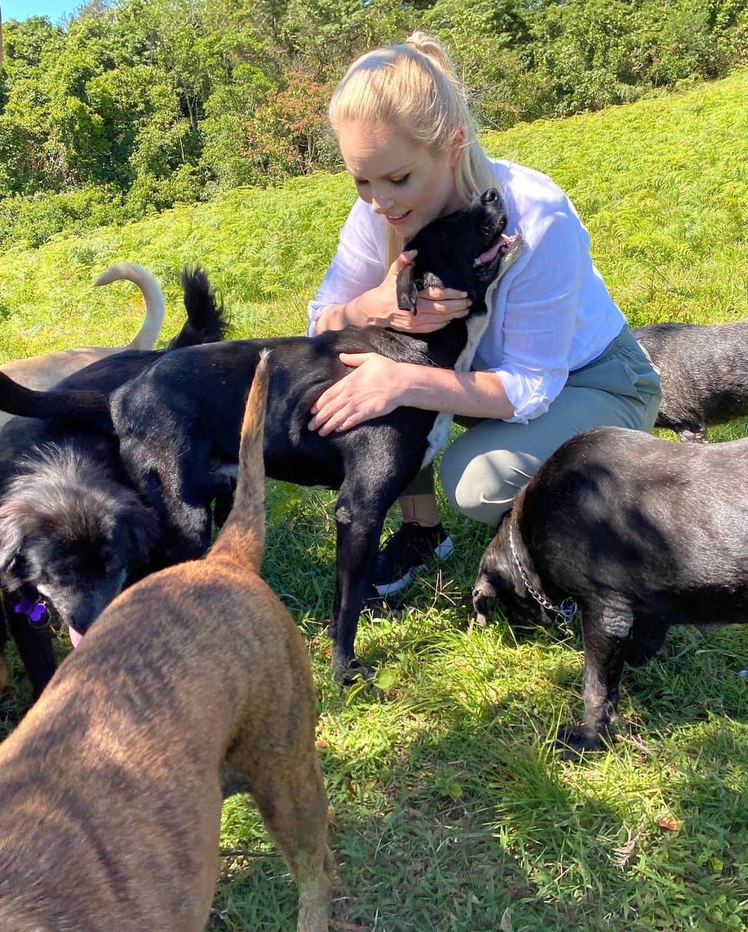 リンゼイ・ボンさんのインスタグラム写真 - (リンゼイ・ボンInstagram)「I always feel better when I’m around dogs....This was heaven for me! One of the most special places I have ever been “Land of the Strays” in Costa Rica. Over 1600 stray dogs have a home here because of the founder Lya Battle. She is an incredible person and I’m so so happy we were able donate enough food to help feed these dogs for 3 months! The Pack is more than a show, we tried to help dogs around the world and I am so grateful and thankful. Happy thanksgiving everyone 🙏🏻❤️ @thepackonprime」11月26日 2時02分 - lindseyvonn