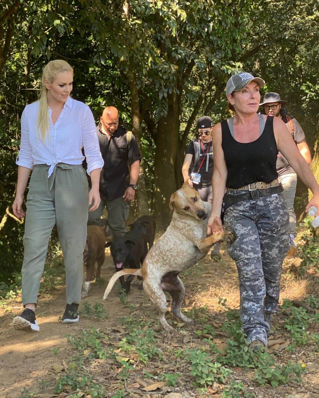 リンゼイ・ボンさんのインスタグラム写真 - (リンゼイ・ボンInstagram)「I always feel better when I’m around dogs....This was heaven for me! One of the most special places I have ever been “Land of the Strays” in Costa Rica. Over 1600 stray dogs have a home here because of the founder Lya Battle. She is an incredible person and I’m so so happy we were able donate enough food to help feed these dogs for 3 months! The Pack is more than a show, we tried to help dogs around the world and I am so grateful and thankful. Happy thanksgiving everyone 🙏🏻❤️ @thepackonprime」11月26日 2時02分 - lindseyvonn