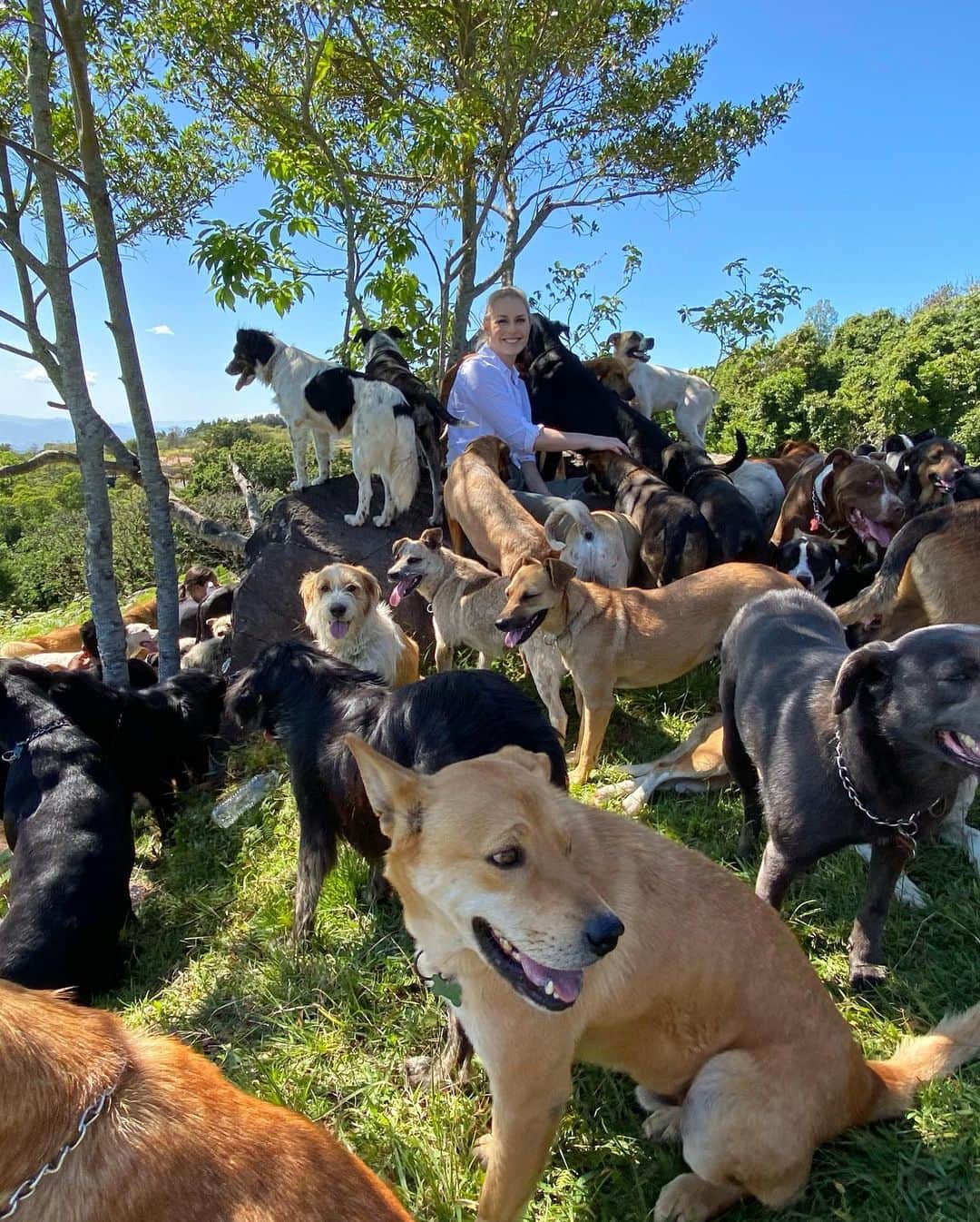 リンゼイ・ボンさんのインスタグラム写真 - (リンゼイ・ボンInstagram)「I always feel better when I’m around dogs....This was heaven for me! One of the most special places I have ever been “Land of the Strays” in Costa Rica. Over 1600 stray dogs have a home here because of the founder Lya Battle. She is an incredible person and I’m so so happy we were able donate enough food to help feed these dogs for 3 months! The Pack is more than a show, we tried to help dogs around the world and I am so grateful and thankful. Happy thanksgiving everyone 🙏🏻❤️ @thepackonprime」11月26日 2時02分 - lindseyvonn