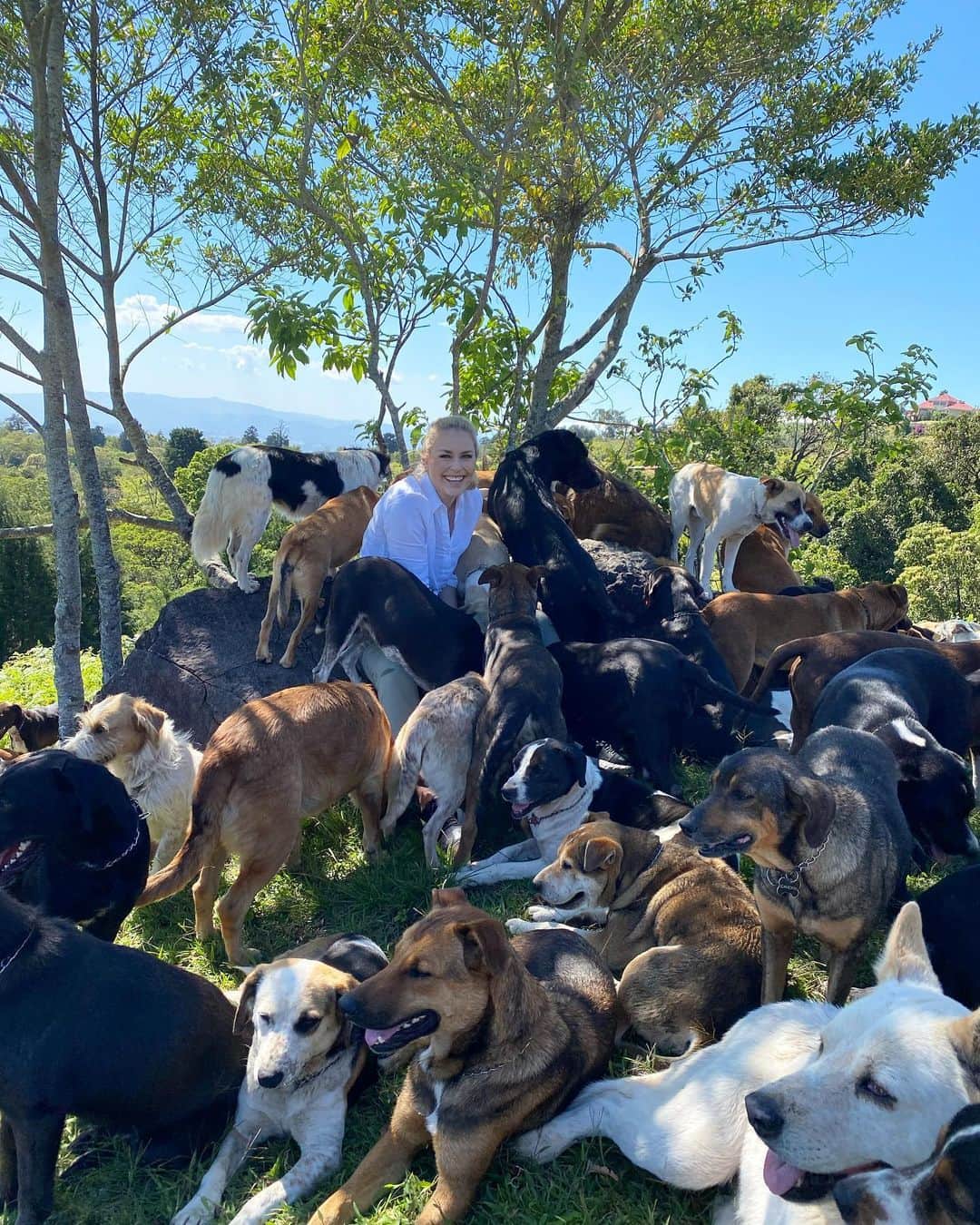 リンゼイ・ボンのインスタグラム：「I always feel better when I’m around dogs....This was heaven for me! One of the most special places I have ever been “Land of the Strays” in Costa Rica. Over 1600 stray dogs have a home here because of the founder Lya Battle. She is an incredible person and I’m so so happy we were able donate enough food to help feed these dogs for 3 months! The Pack is more than a show, we tried to help dogs around the world and I am so grateful and thankful. Happy thanksgiving everyone 🙏🏻❤️ @thepackonprime」