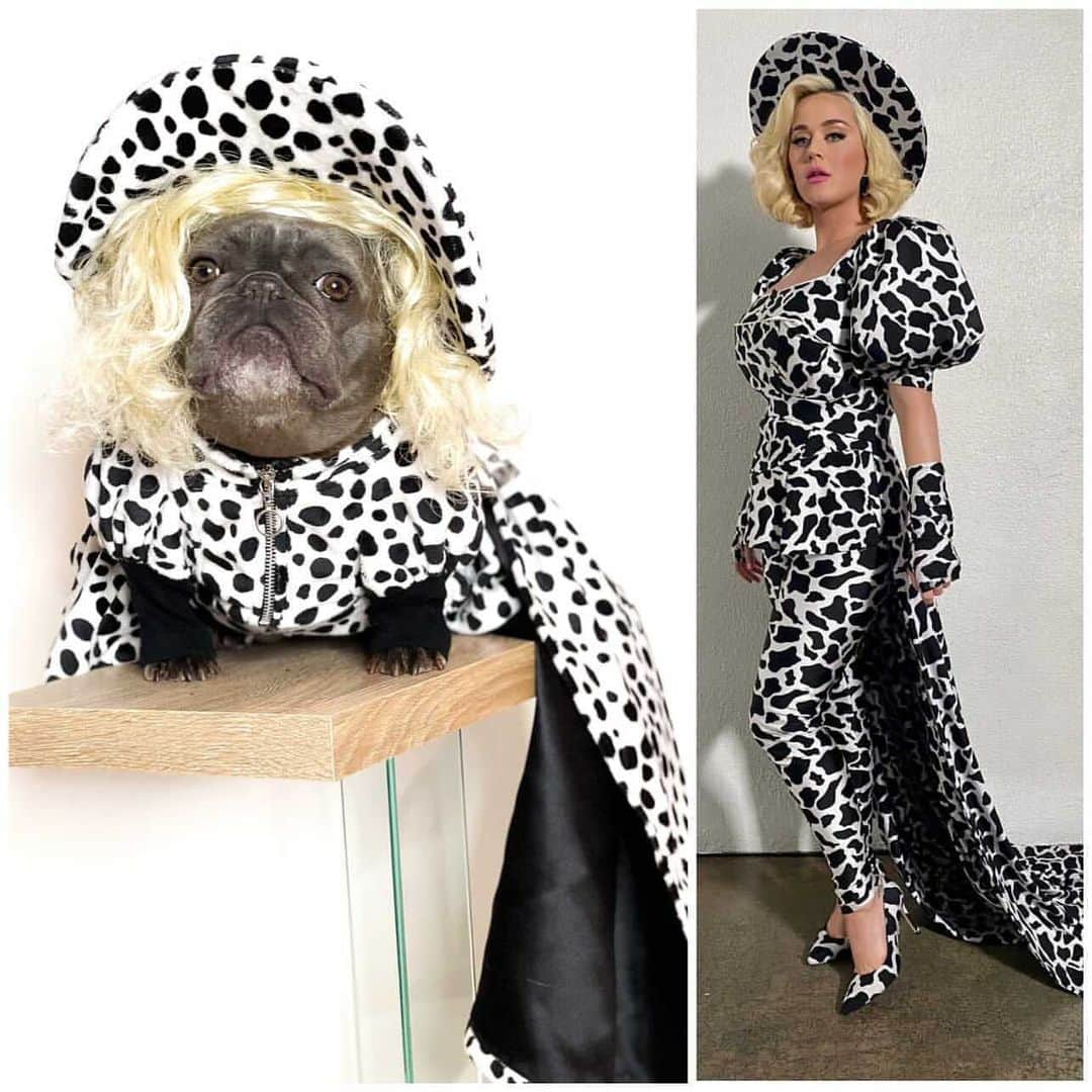 American Idolさんのインスタグラム写真 - (American IdolInstagram)「It’s a cattle battle! 🐄 🥛 Who wore it best? @izzythe.frenchie or @katyperry? 💙 More legen-dairy Katy fashion, and emootional singers comin’ at ya starting on Valentine’s Day 2021!」11月26日 2時12分 - americanidol