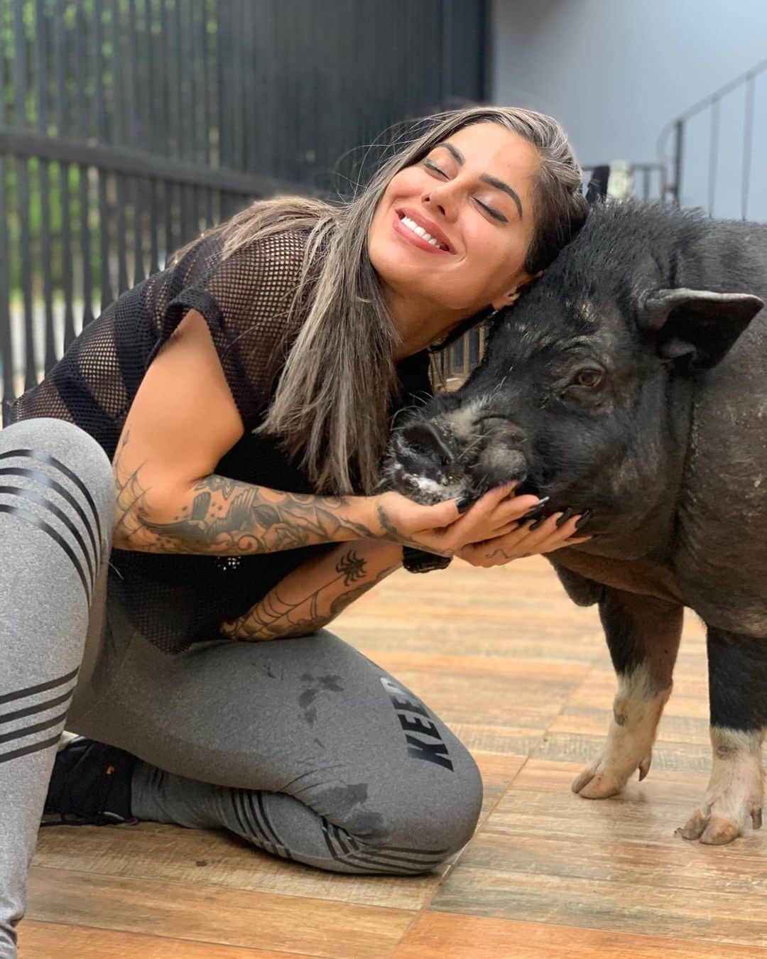バネッサ・メスキータさんのインスタグラム写真 - (バネッサ・メスキータInstagram)「Meu pumba ♥️✨  #pig #porco #pumba #pigsofinstagram #pigs #pigsofinsta #pigeonlove」11月26日 2時25分 - vanmesquita