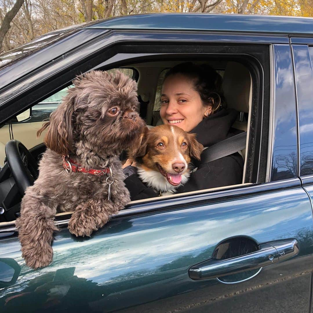 マルガリータ・レヴィエヴァのインスタグラム：「Rolling with my homies.... 🐶🚗💨」