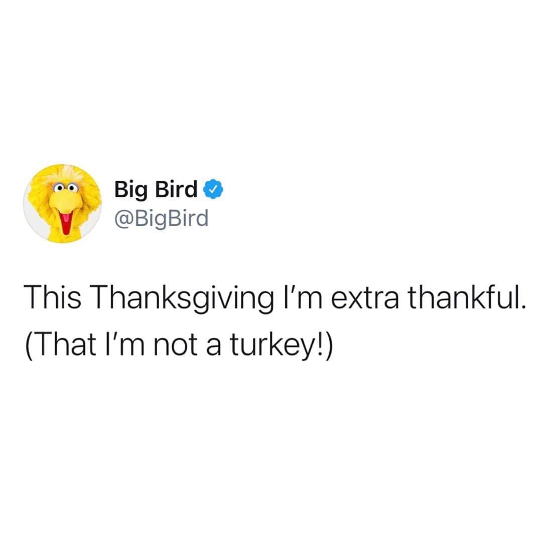 セサミストリートさんのインスタグラム写真 - (セサミストリートInstagram)「Here’s a fact you can share with your family tomorrow: Big Bird is in fact not a turkey but a yellow canary bird! 💛」11月26日 3時09分 - sesamestreet