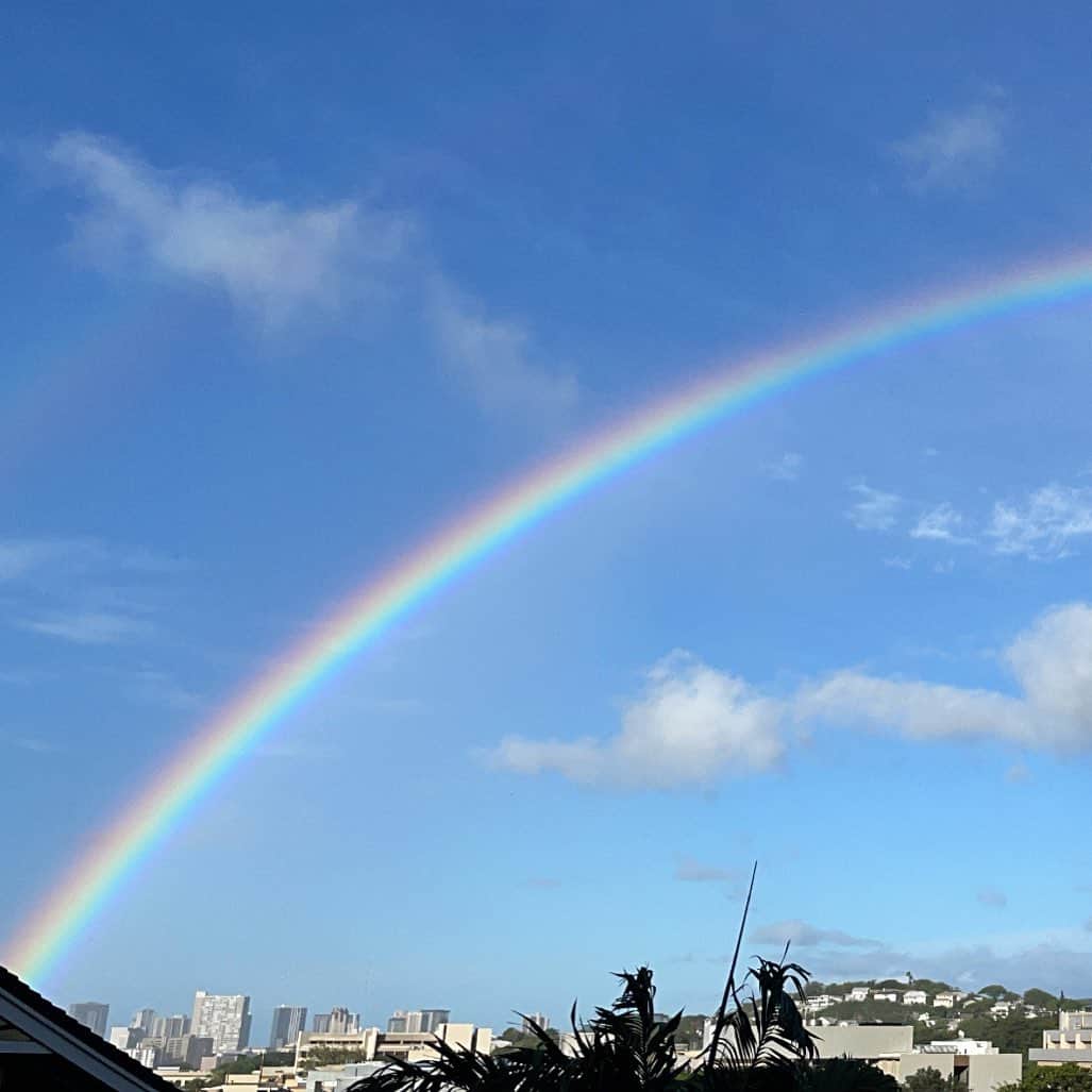 のインスタグラム：「ふと見上げた空に虹🌈」