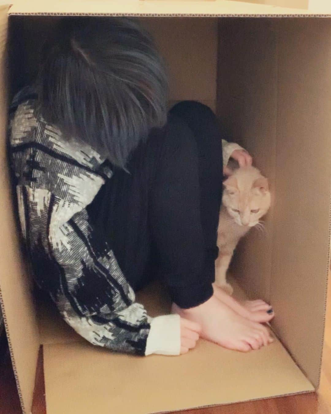 のインスタグラム：「2020/11/13ユキチ永眠しました。夢の中までもそんないいこにしてなくていいんよ #cat」