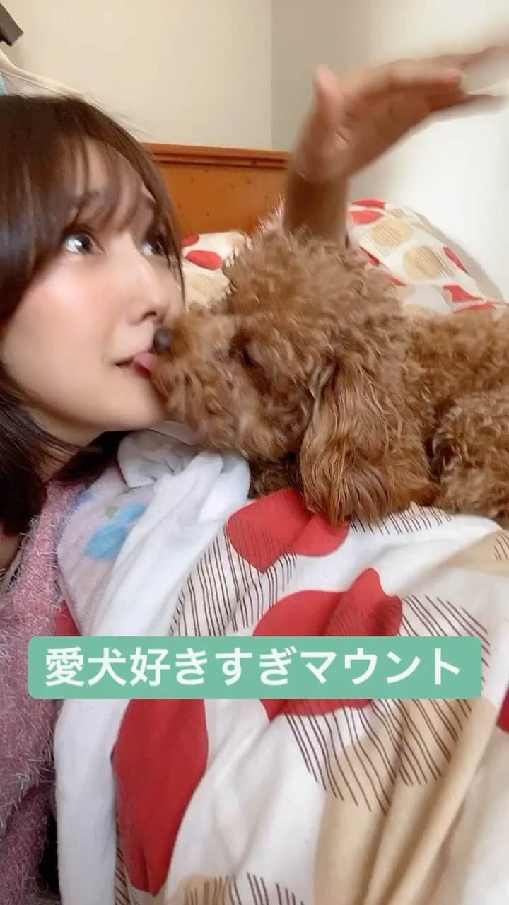 のインスタグラム：「よく言うし、よく言われます。 #TikTok #ネタ動画 #あるあるネタ #犬」