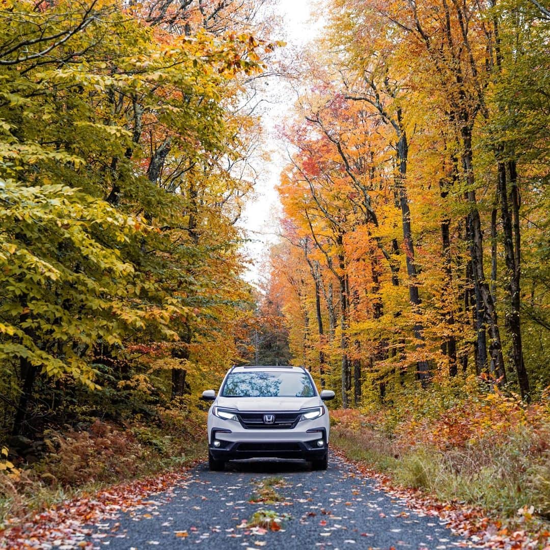 のインスタグラム：「Feast your eyes. #HondaPilot」