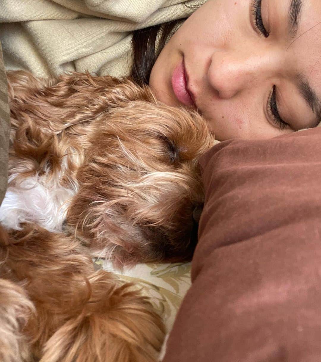 Sachiさんのインスタグラム写真 - (SachiInstagram)「おはよ♥﻿ 犬が隣にいるとすごく暖かい✨﻿ いつも温もりをありがとう❤﻿ ﻿ #愛犬との時間  #さっchannel #おはようモーニング」11月26日 8時18分 - sacharmmy