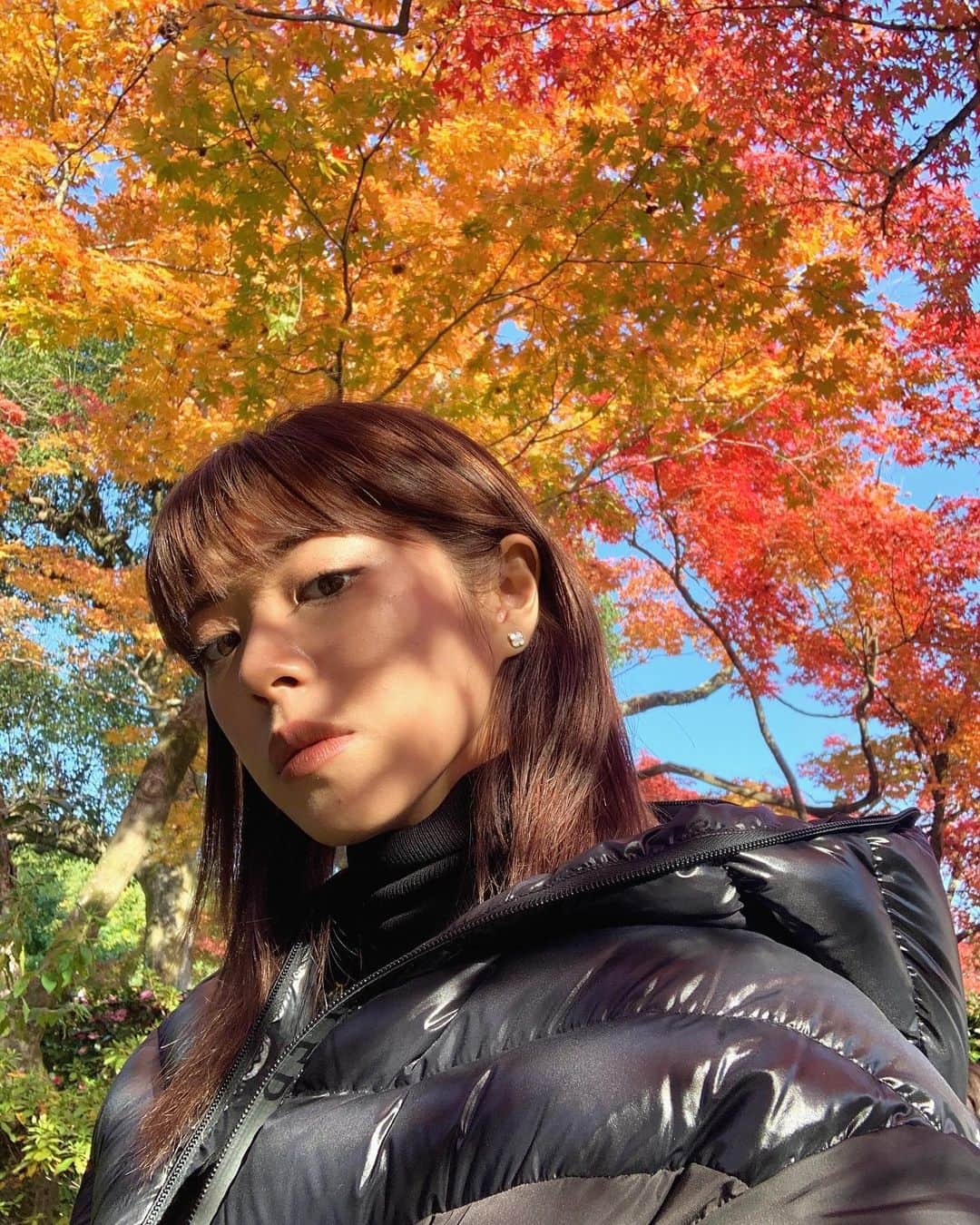 わちみなみのインスタグラム：「紅葉、信号みたい♡﻿ 季節のはざまにいるかんじ☺︎﻿ 桜も、葉桜が好き😆﻿ 一瞬を楽しめてうれしい🍁﻿ ﻿ さあ、お知らせ続きですが！﻿ 読んでください。﻿ ﻿ ﻿ 🆕ホリプロオンラインショップでも﻿ 特典付販売決定！🆕﻿ 特典：直筆サイン入りカレンダー+オリジナル生写真（2種の内、ランダム1種）﻿ ご予約は、こちら﻿ https://horipro-shop.com/products/detail/﻿ ﻿ ﻿ 532わちみなみ2021年カレンダーお渡し会予約について🦩✨】﻿ ﻿ 💛2020年12月20日（日）　﻿ 💛12:00～﻿ 💛場所:書泉グランデ（神保町）﻿ ﻿ ⚠️予約開始日:﻿ 2020年11月27日（金）﻿ 特典内容＆予約方法﻿ 詳細は、こちら↓﻿ shosen.co.jp/event/148524/﻿ ﻿ また、わちちくらぶ会員の方は﻿ プレゼント抽選会に参加できます🙏﻿ ぜひわたしのプレゼント受け取ってください🎁﻿ ﻿ ﻿#紅葉　 #カレンダーイベント　#ありがとう﻿ #わちみなみ　#水着」